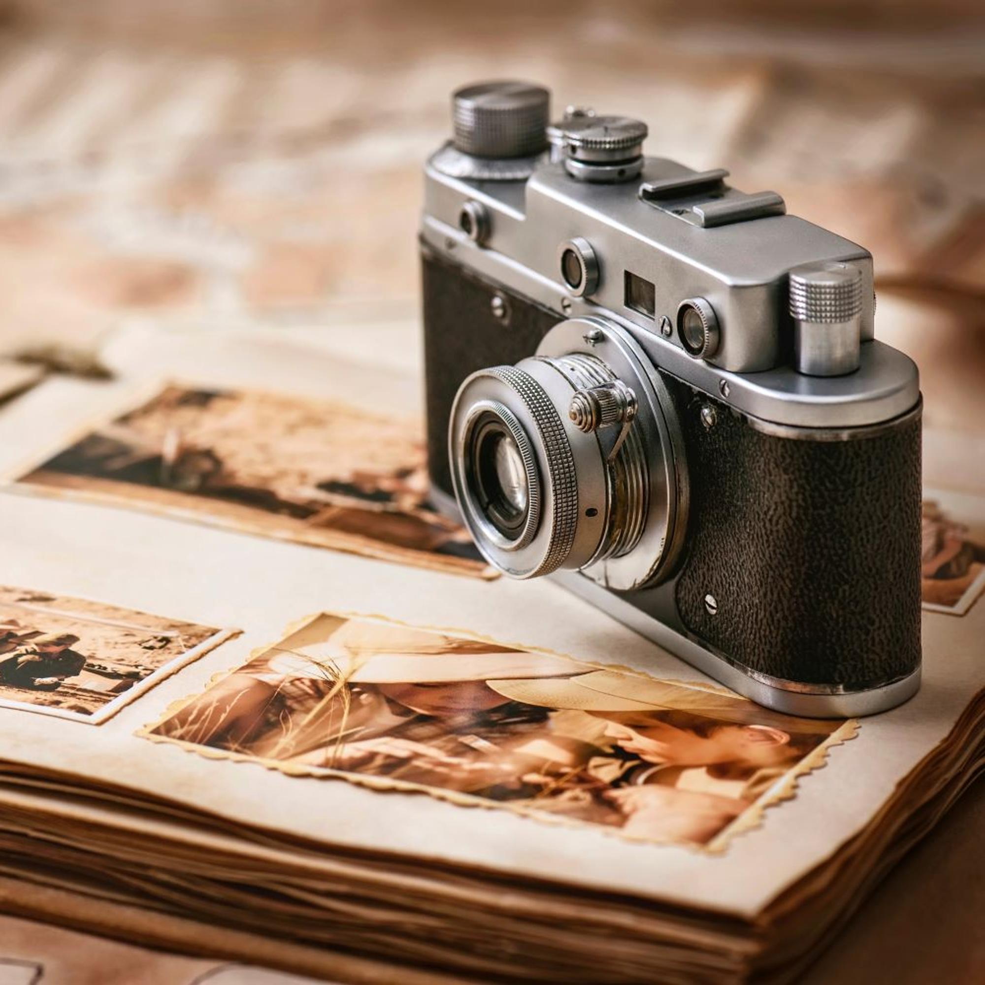 Onko sinulla kanan vai norsun muisti? Näin muistat paremmin