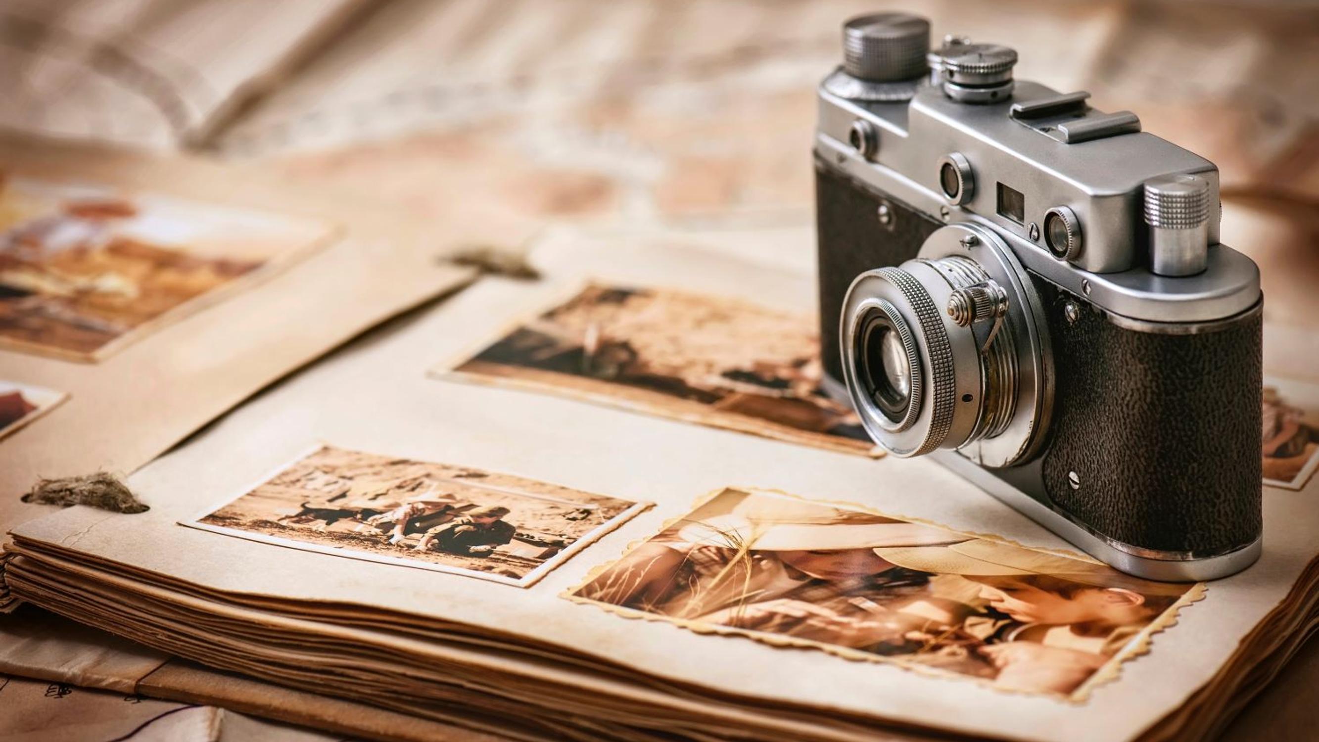 Onko sinulla kanan vai norsun muisti? Näin muistat paremmin