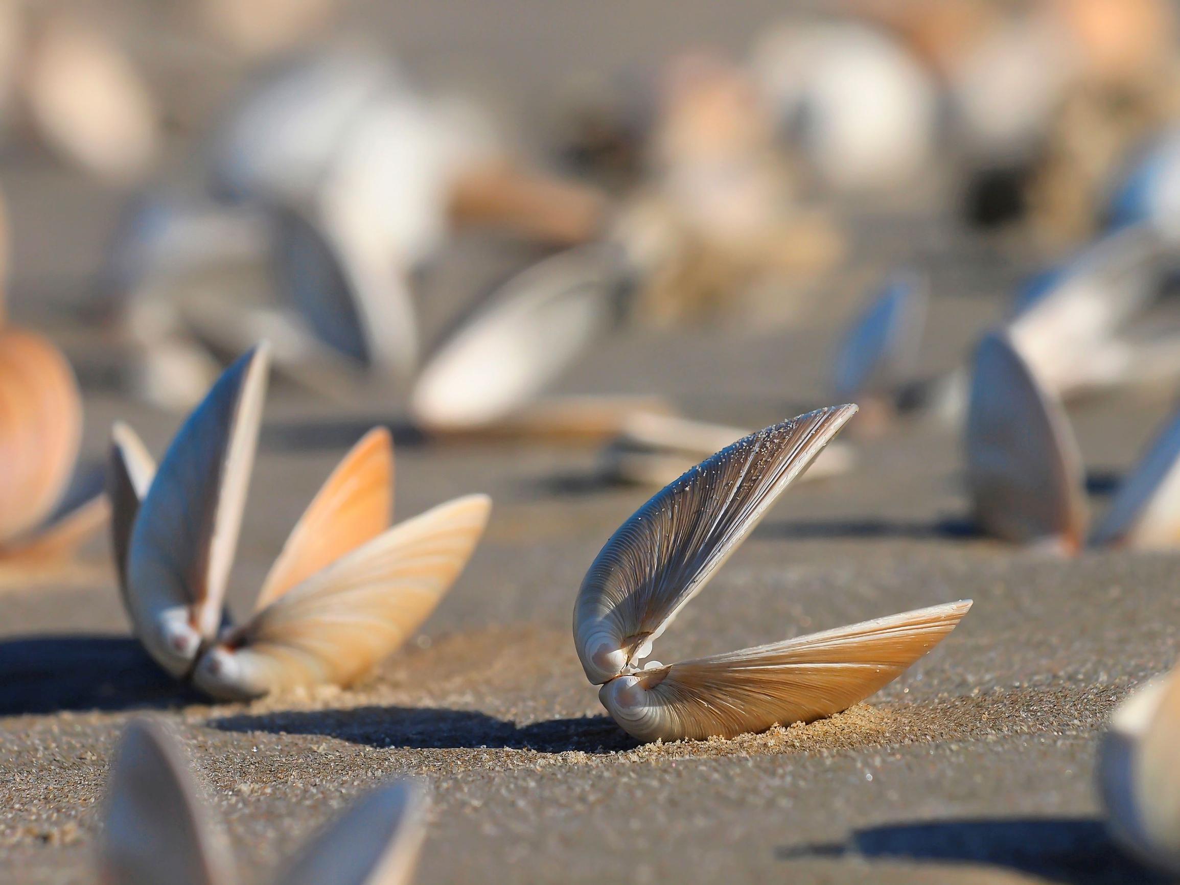 Räiskytkö vai pidätkö suusi supussa? Tunnesäätely vaikuttaa siihen, miten ihmissuhteesi toimivat