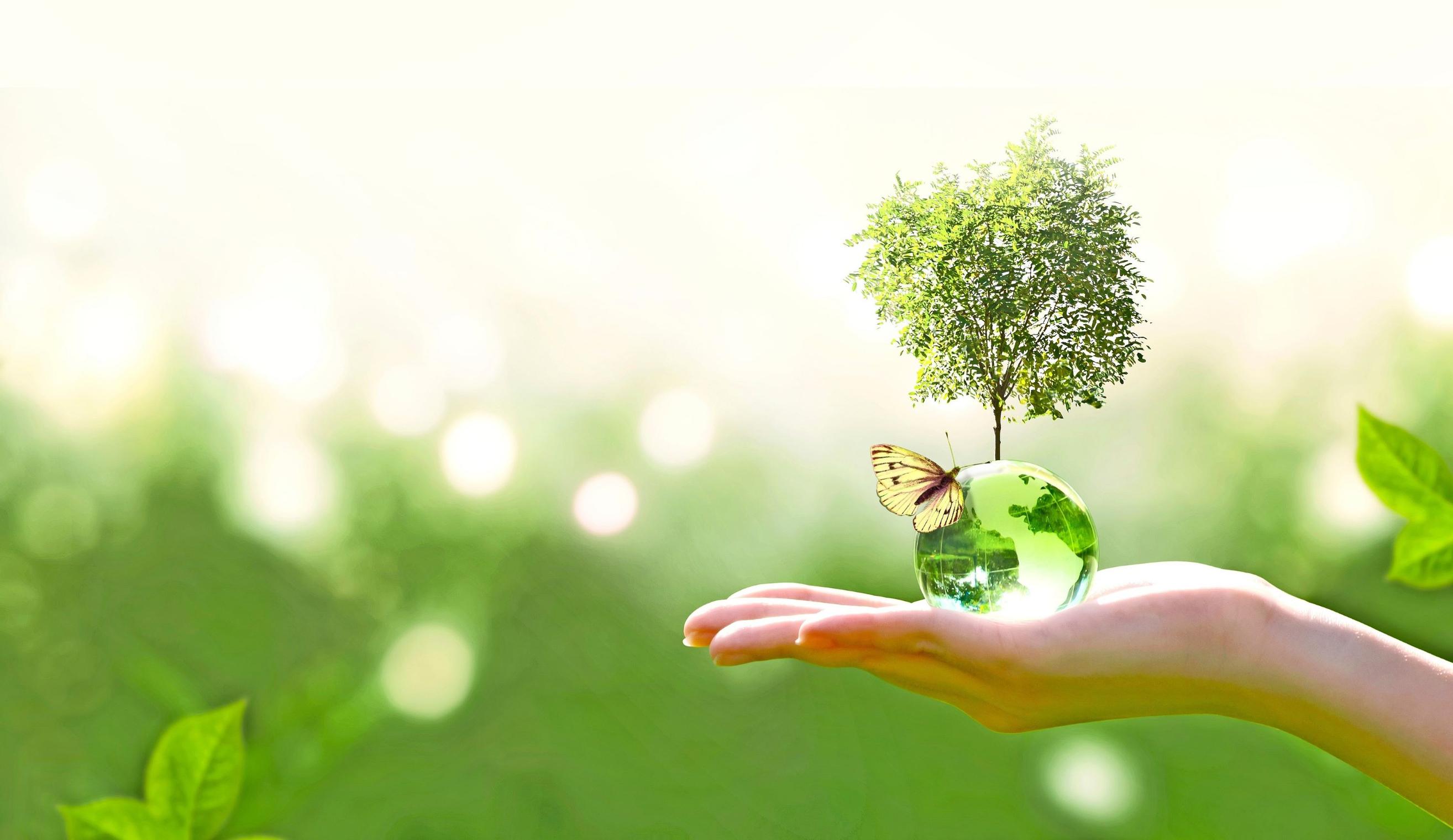 Planetaarinen ruokavalio on hyväksi terveydelle ja koko maapallolle – näin otat sen osaksi arkeasi