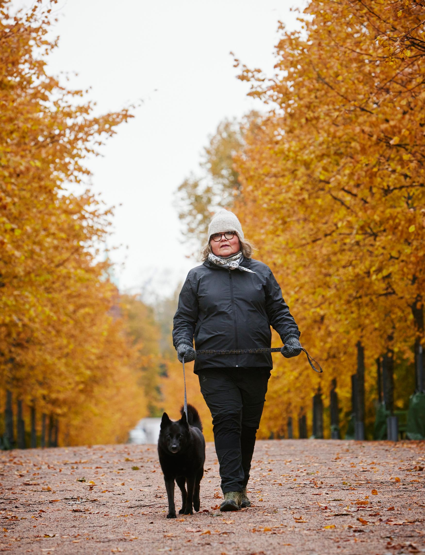 Kaarina työskentelee nyt kirjoitusprojektin parissa. Leea Klemolan kanssa käsikirjoittamastaan tv-sarjasta Myrskyn jälkeen hän voitti Kultaisen Venlan 2017. Vierellä seiskarinkoira Tara.