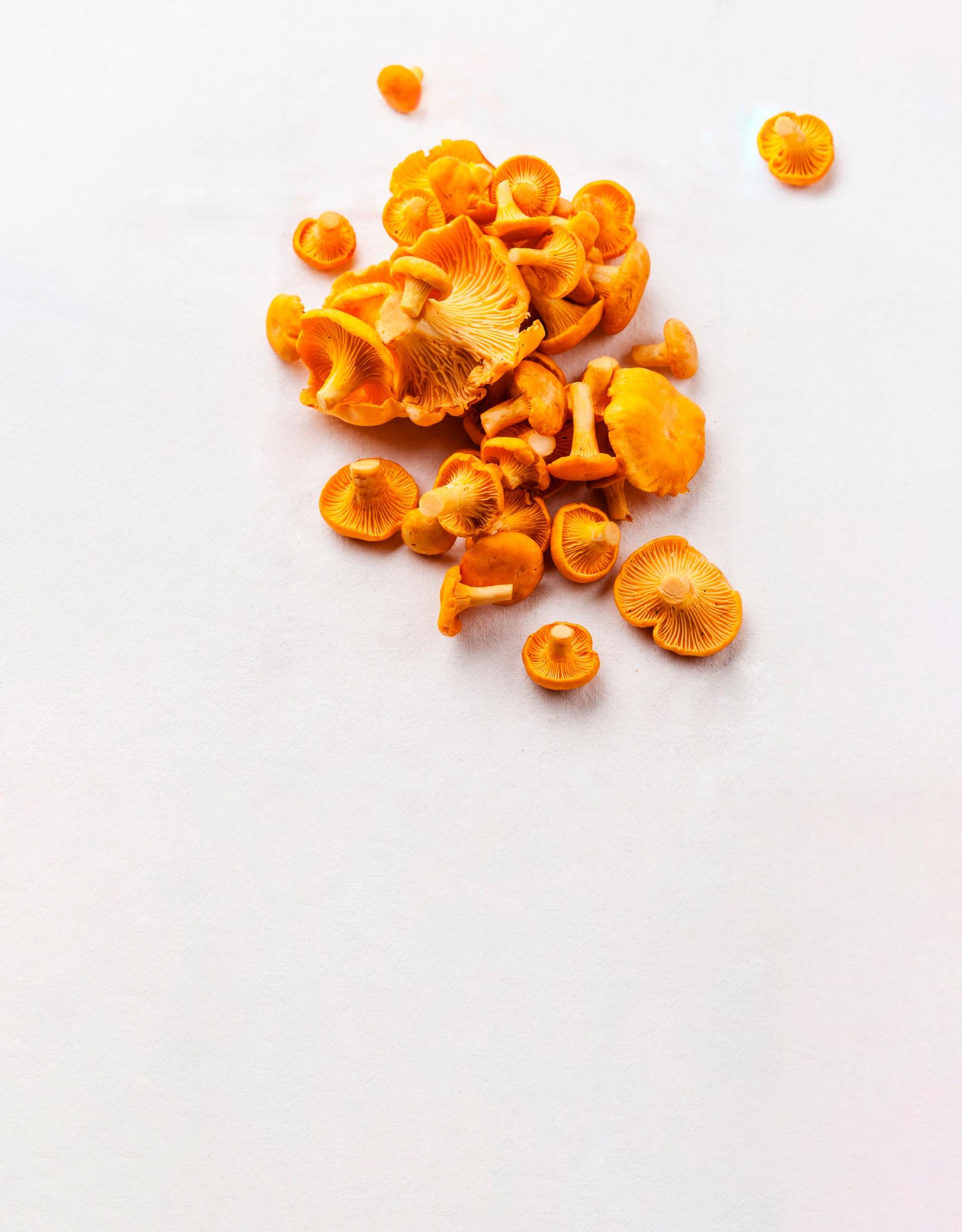 Tšernobylin ydinvoimalaonnettomuus näkyy yhä sienissä – voiko runsas sienten syöminen vaarantaa terveyden?