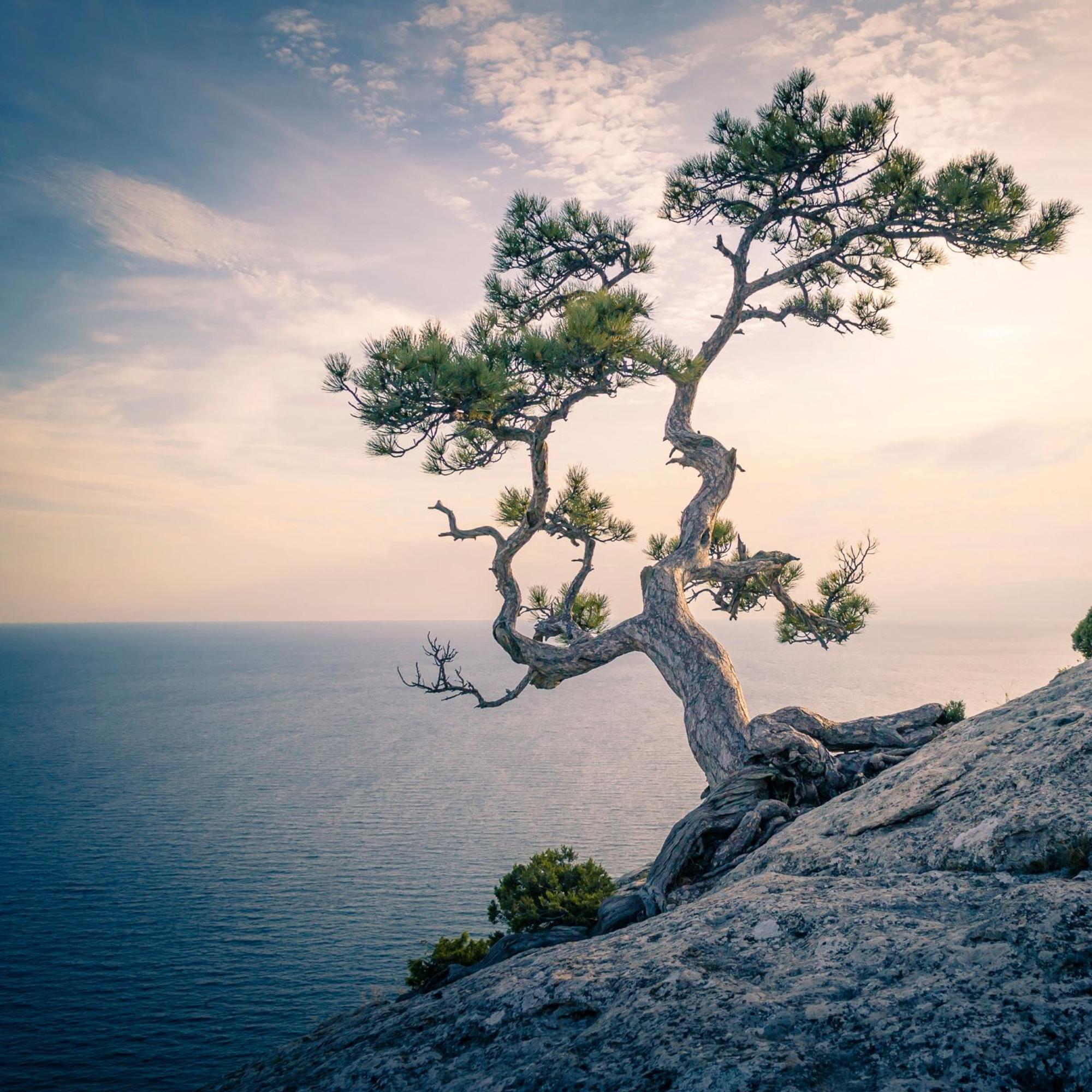 Miten selviän Ikäkriisistä? Kuusi naista kertoo, kuinka he oppivat hyväksymään vanhenemisen merkit