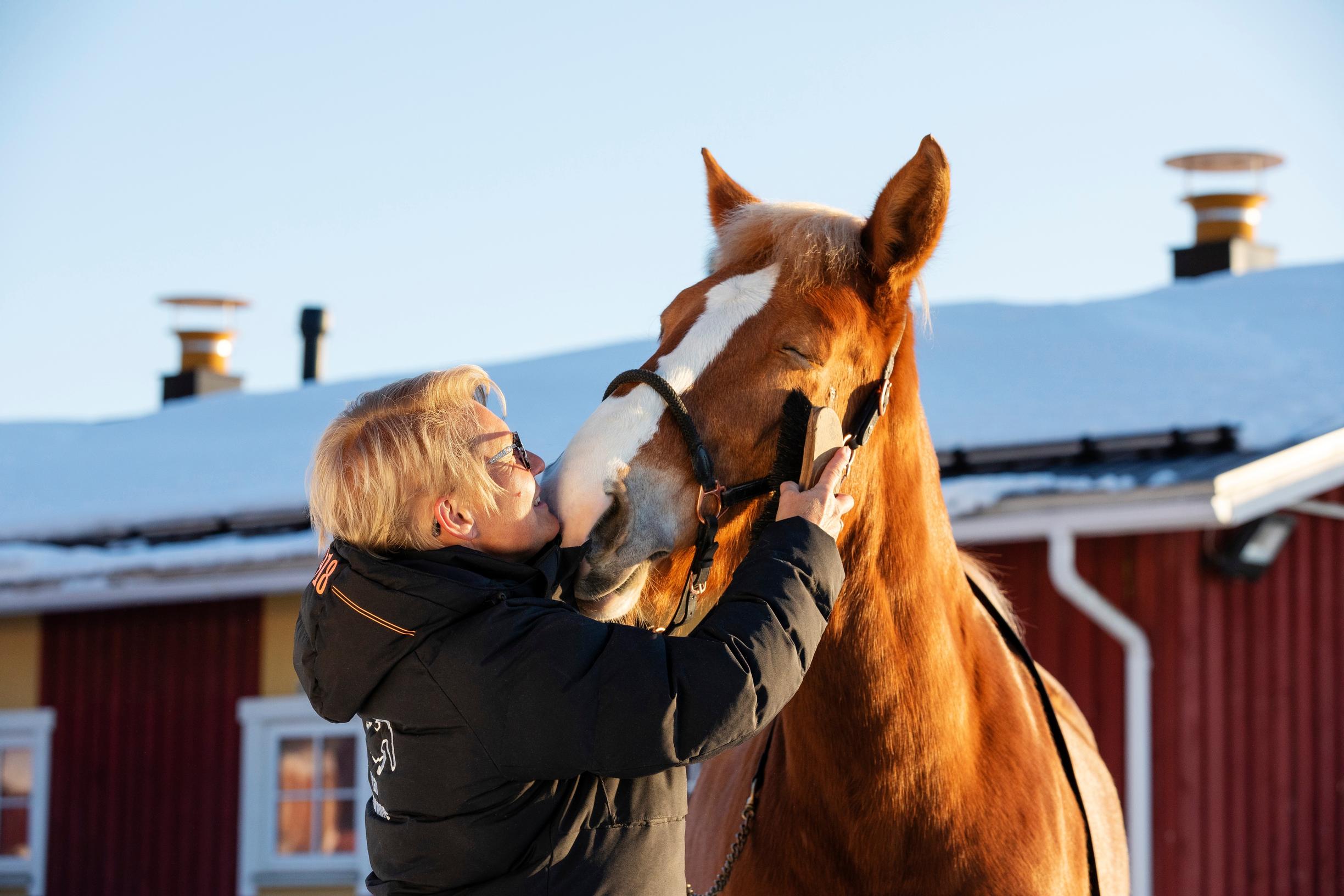 Rakkaiden eläinten seura on auttanut jaksamaan pahimpienkin hetkien yli. Satu Turkan Ponnetar ja muut tilan hevoset ovat Sadulle kaikki kaikessa.
