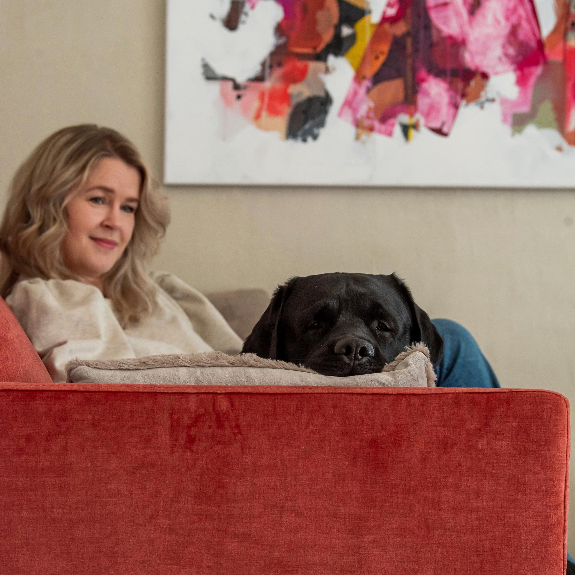 Labradorinnoutaja Sisu on kodin paras sisustuselementti – mihin tahansa hän rojahtaa, paikasta tulee Hannahin mielestä heti kaunis. Terrakotanpunainen sohva on olohuoneessa.