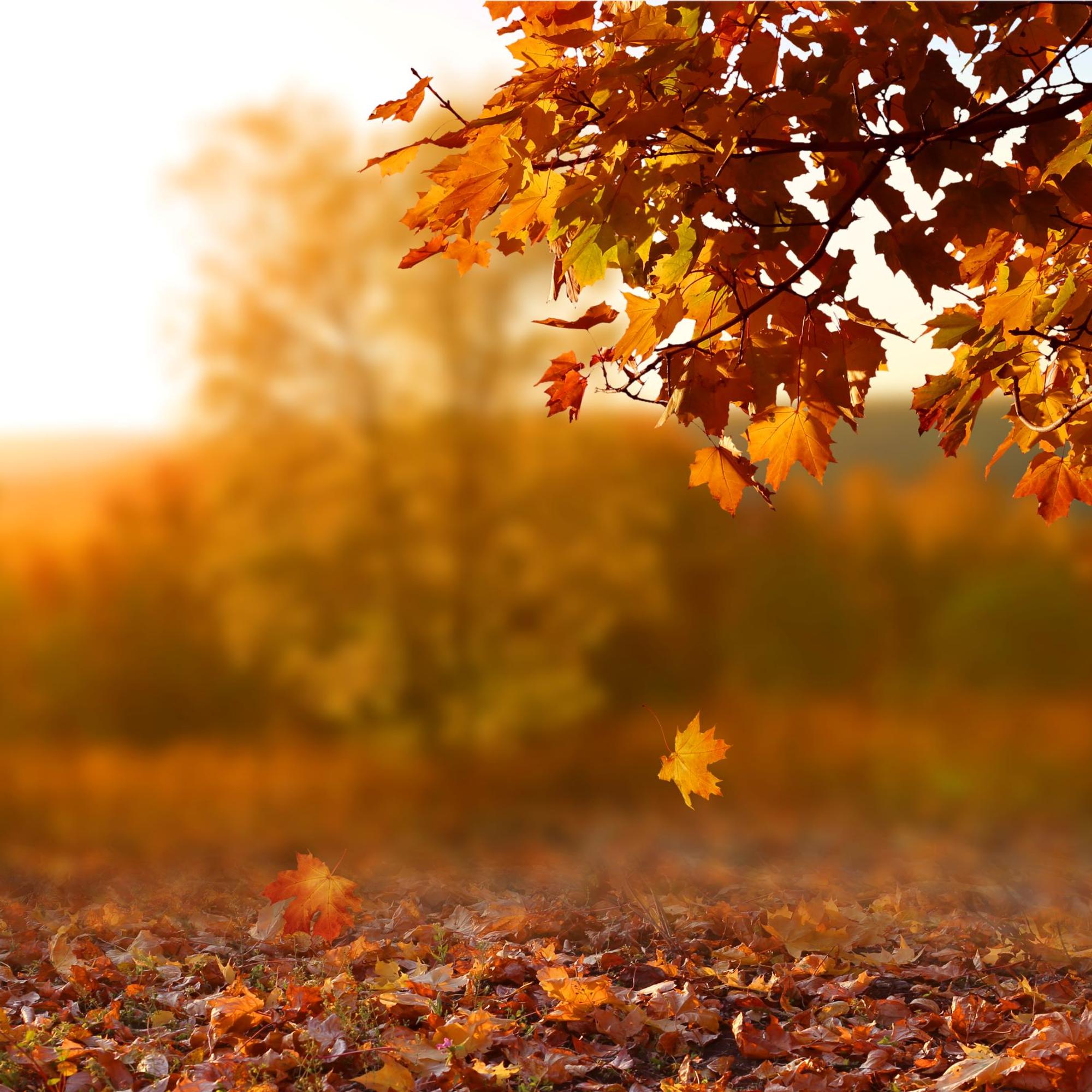 Ahdistus ei kuulu ei kuulu vanhuuteen – Lue, milloin kannattaa hakea apua  