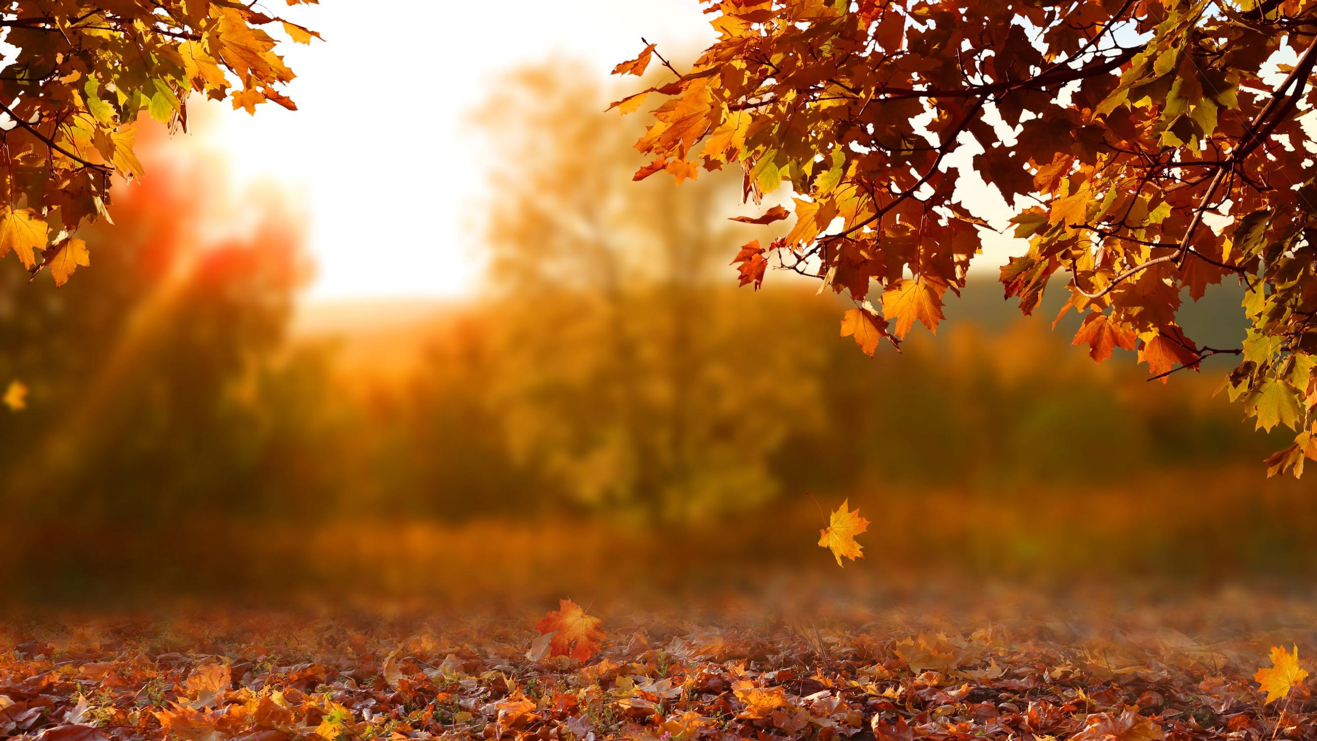 Ahdistus ei kuulu ei kuulu vanhuuteen – Lue, milloin kannattaa hakea apua  