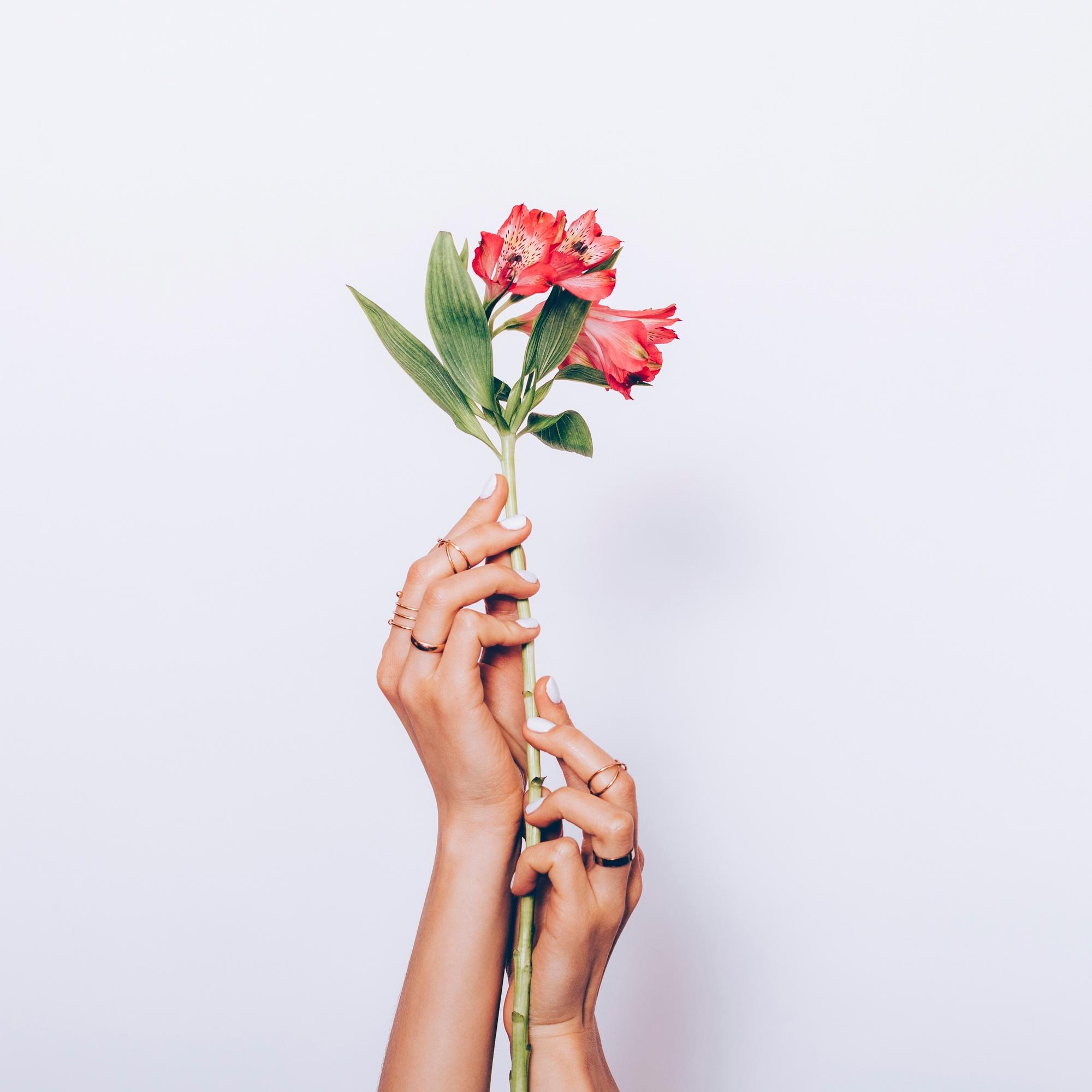 Itsevarman pippurinen vai suloinen ruusukimppu? Nämä yhdeksän trendikästä tuoksua hurmaavat kukin tyylillään