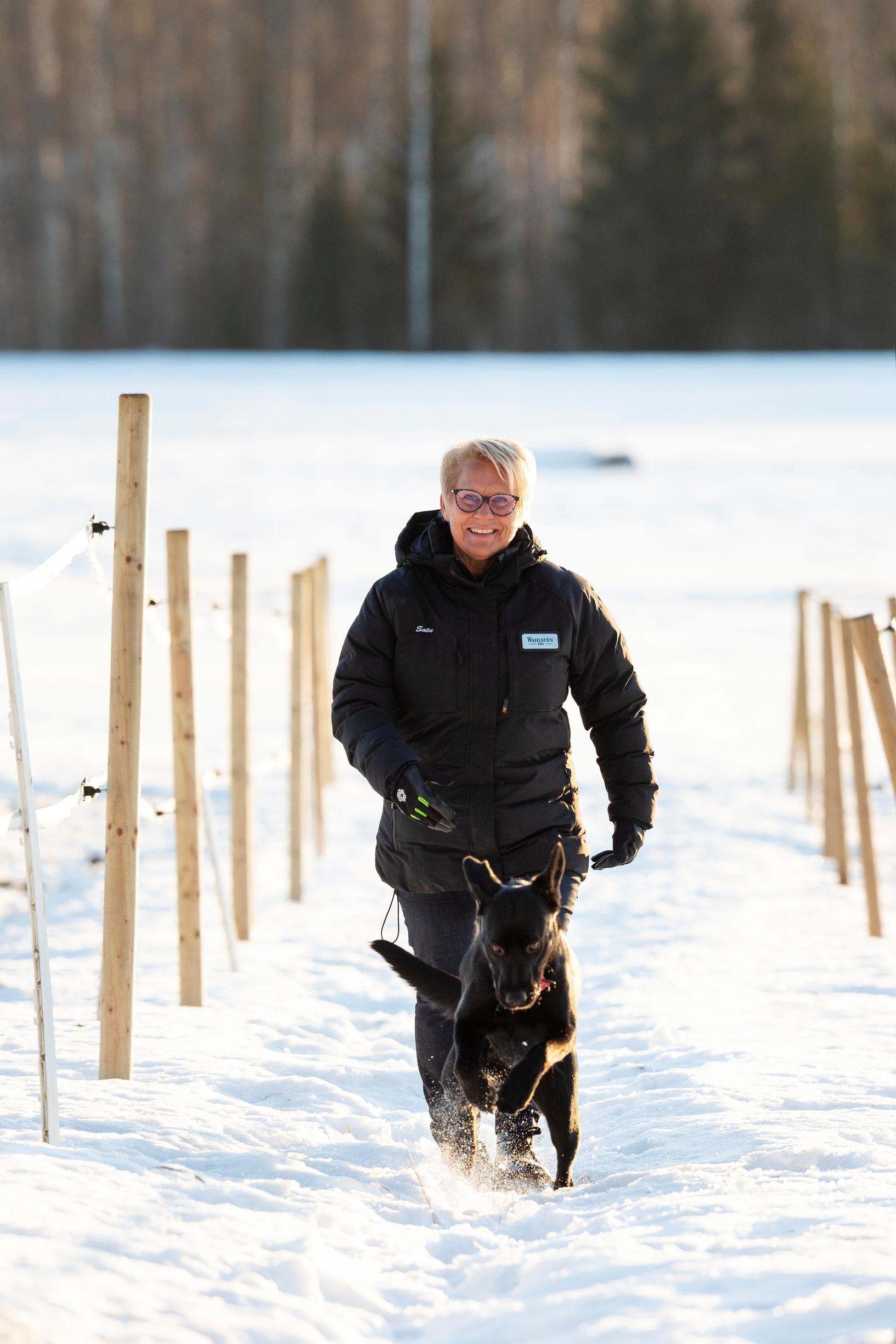 Labradorinnoutaja Miina on ollut Sadulle korvaamaton tuki surutyössä.
