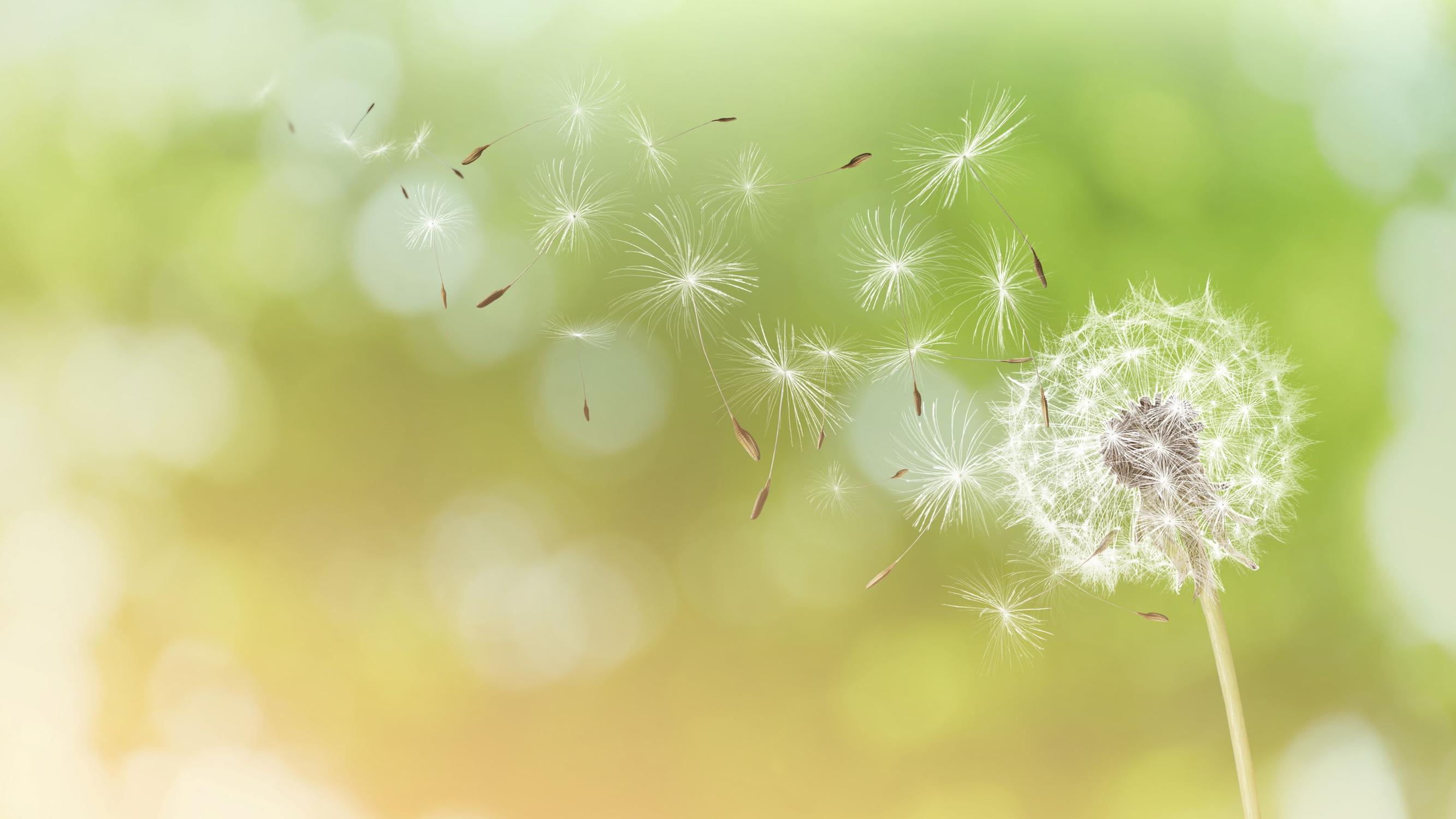 Näin rauhoitat poukkoilevan mielen – 9 minuutin hengitysharjoitus auttaa