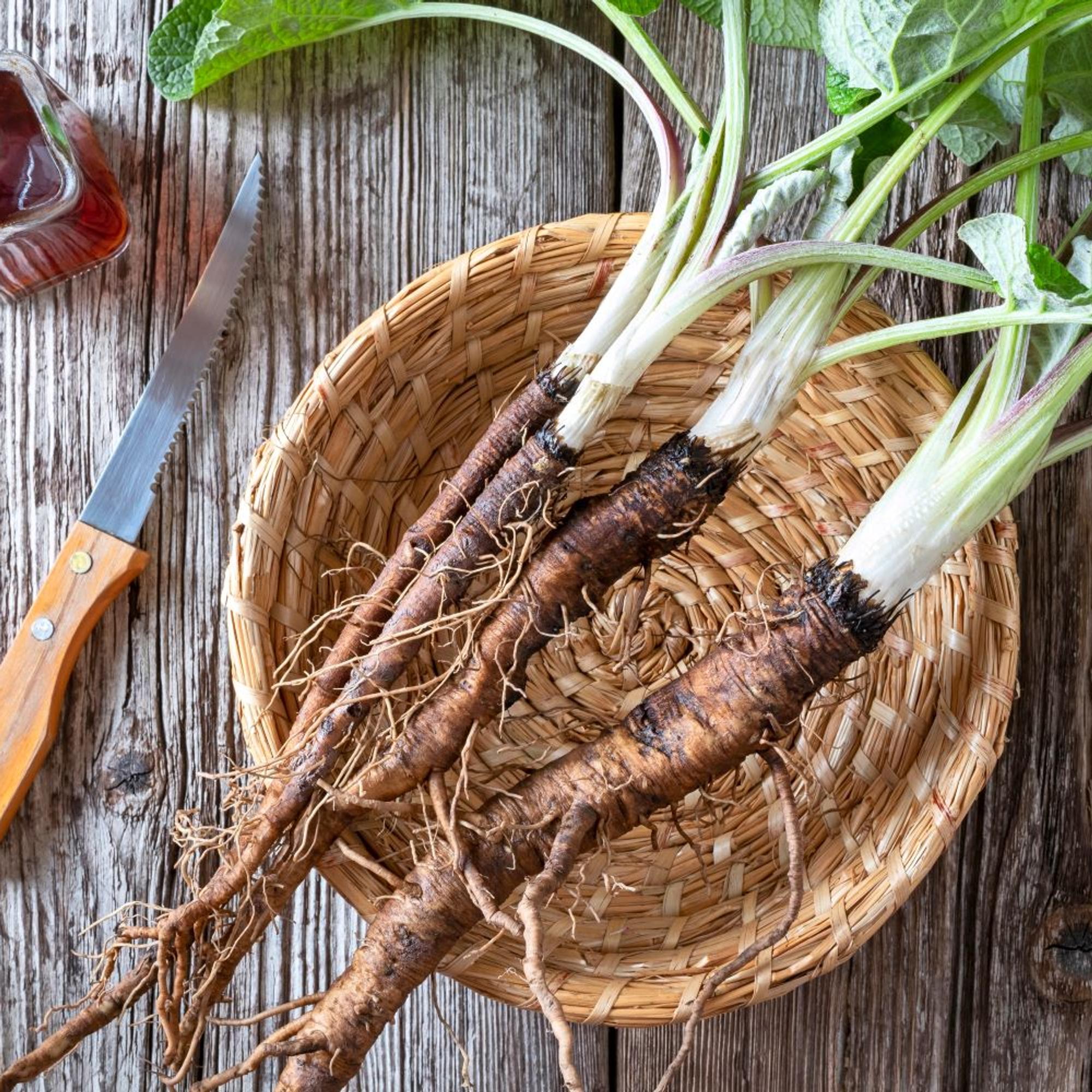 Oletko jo kokeillut takiaisenjuurta, tammenterhoja tai nokkosen siemeniä? Näin vahvistut luonnon voimakasveilla