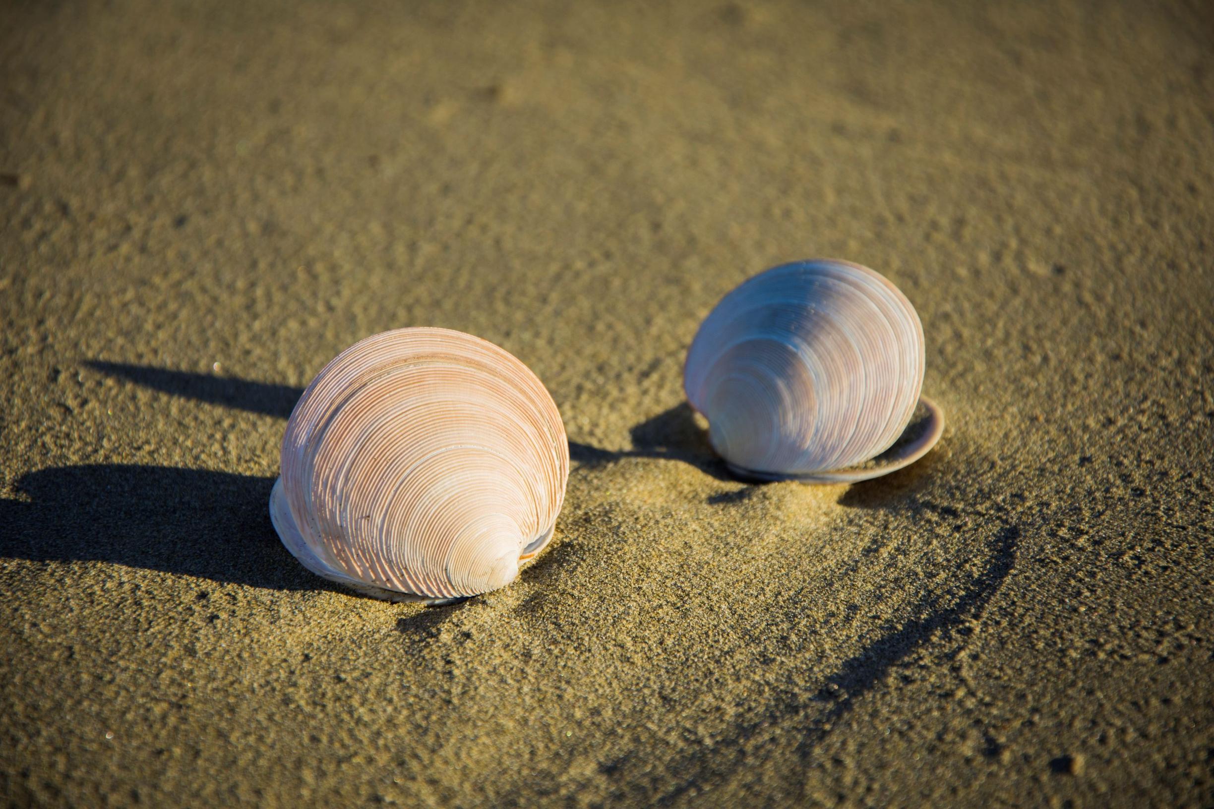 Tunnesäätely helpottuu, kun oppii, ettei tunteita vastaan voi taistella. Niitä ei tarvitse jaotella hyviin tai pahoihin, kielteisiin ja myönteisiin.