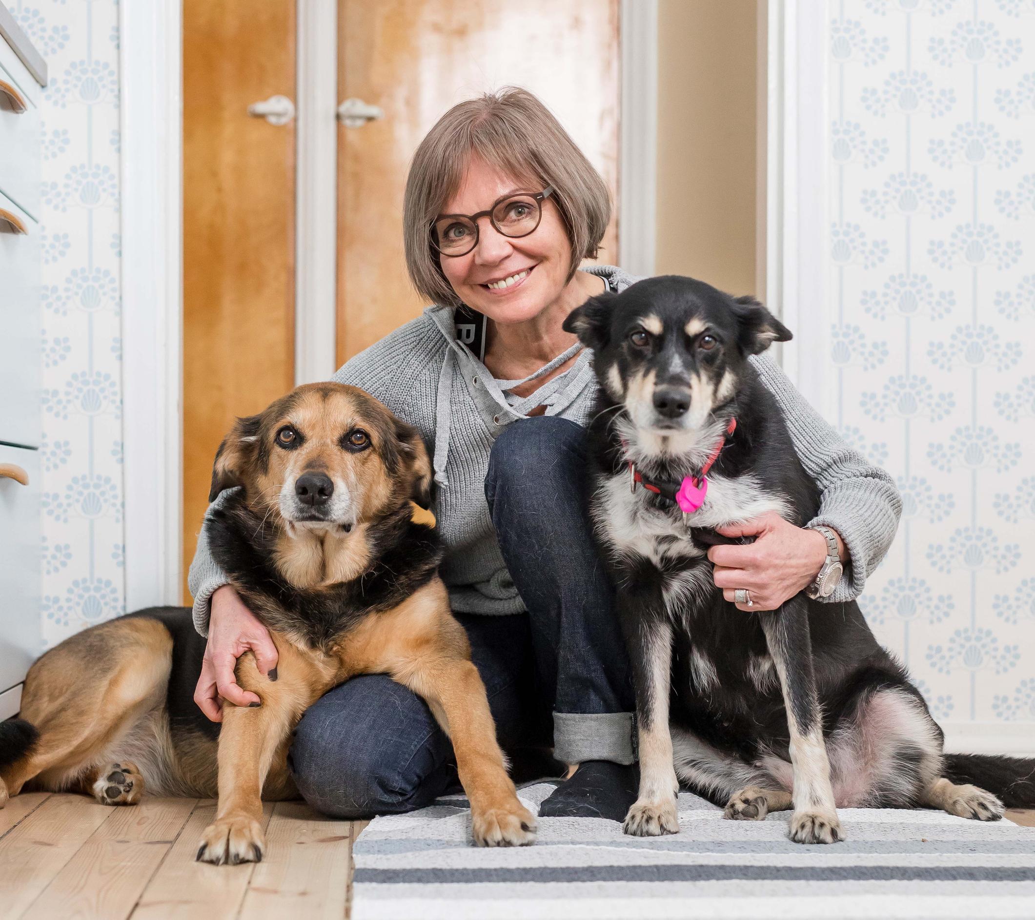 Lena Meriläinen: ”Koiramme kuuntelevat salaa”