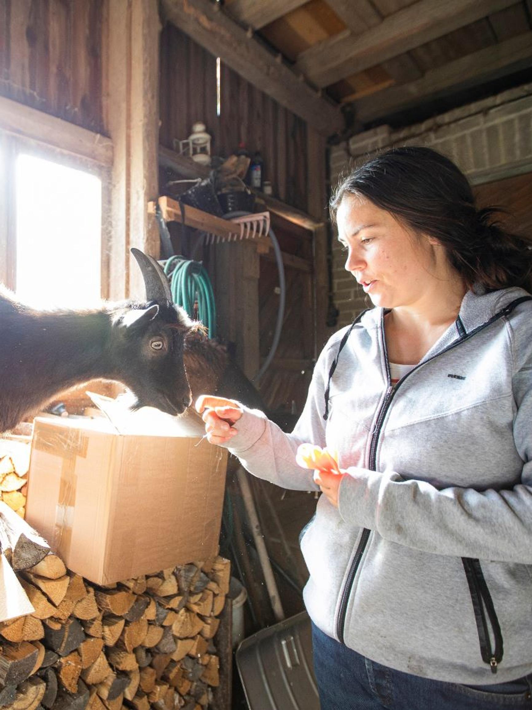 Mitä kaikkea voimme oppia eläimiltä?  Tiluksilla arki on juhlaa laumassa