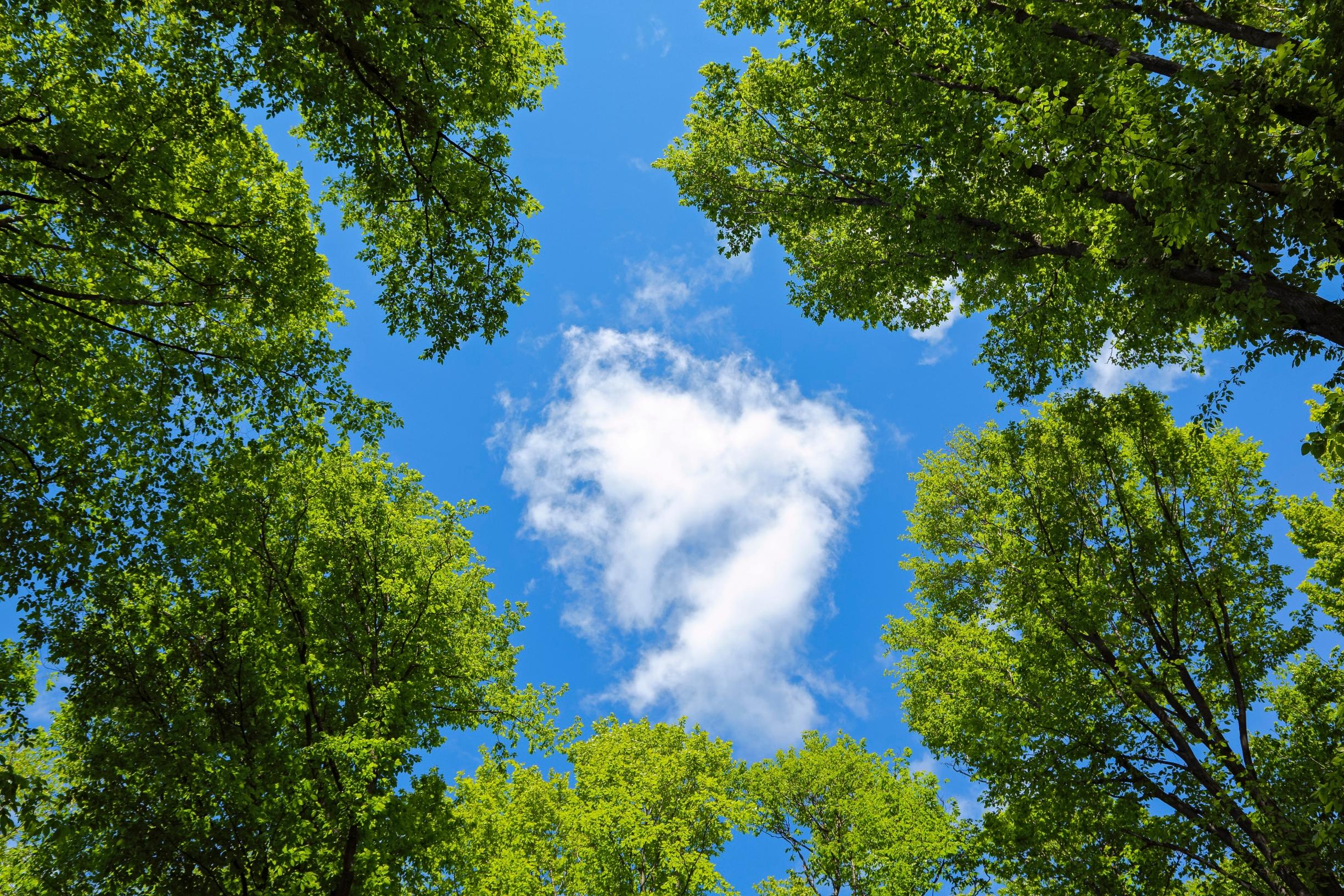 Älä tee yhtään mitään! Uusi hyvinvointitrendi huoltaa ylikuormittuneita aivoja