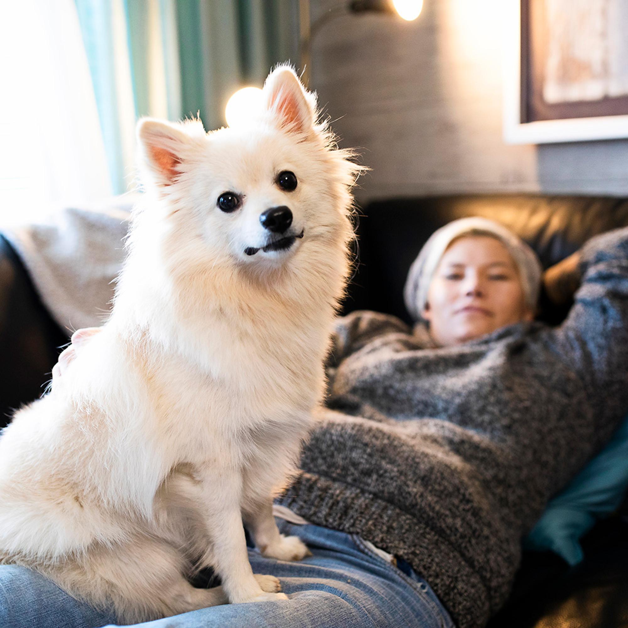 Haavoittunut poliisi Heidi Foxell: ”Noxi nuolee kyyneleeni”