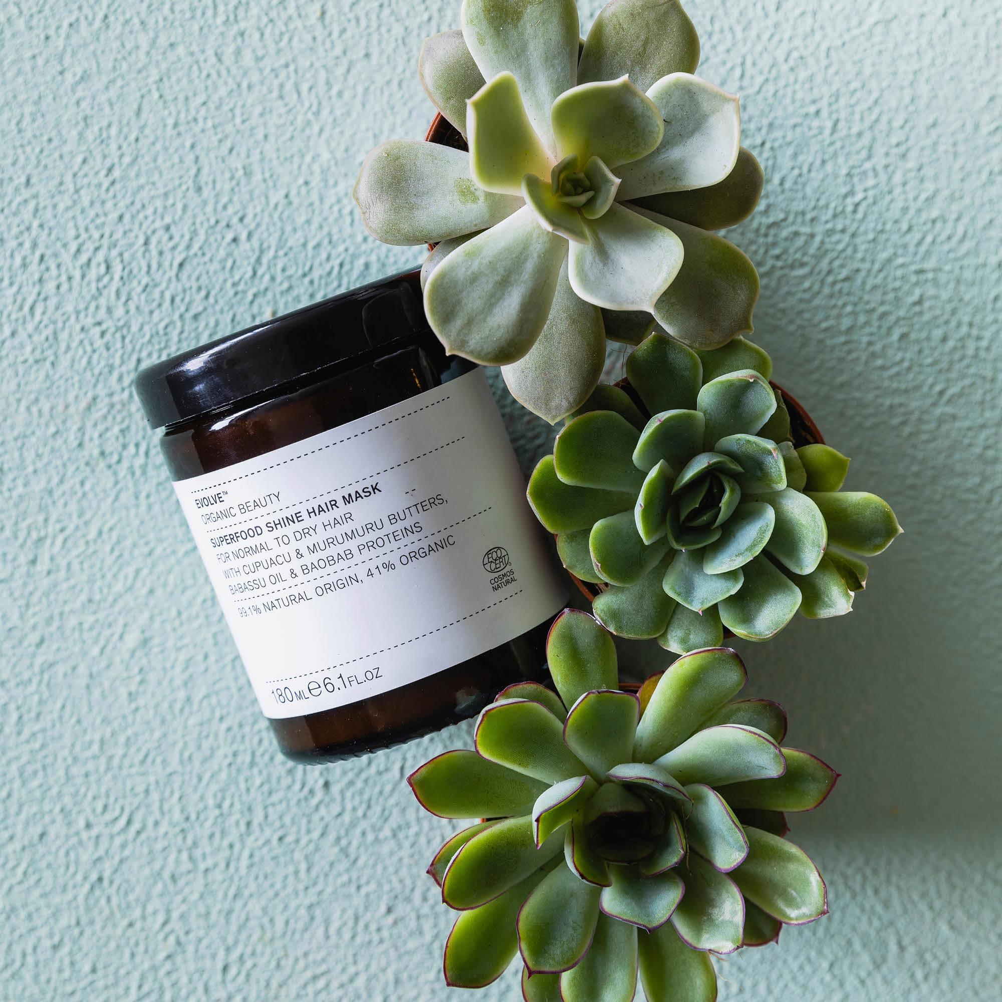 Evolve Organic Beauty Superfood Shine Hair Mask 