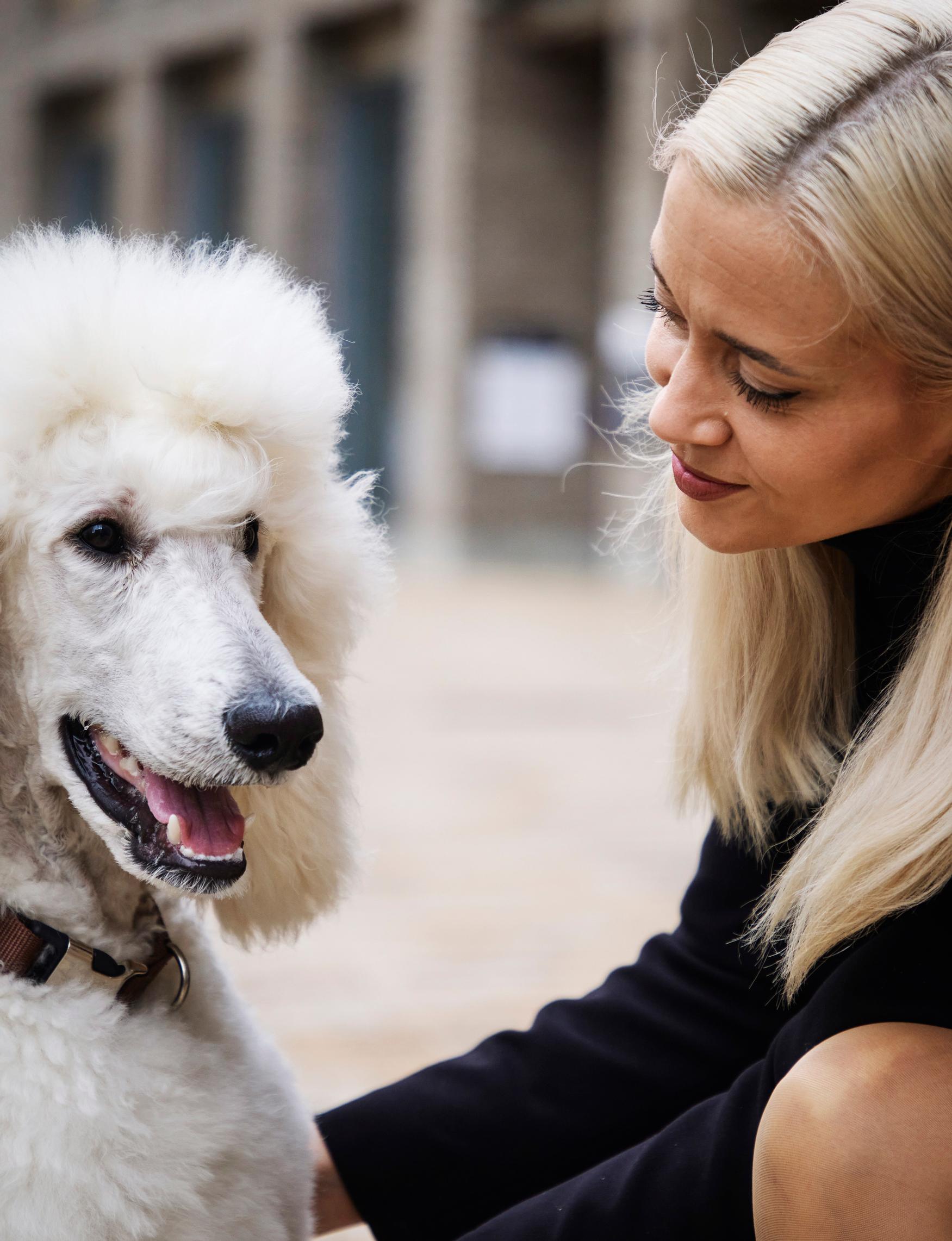 Isovillakoira Urho on tuonut Sofian ja hänen perheensä elämään uutta iloa keväästä asti. ”Urho on käsittämättömän viisas. Se ei vaadi mitään, on vain ja osoittaa, että tässä ollaan.”