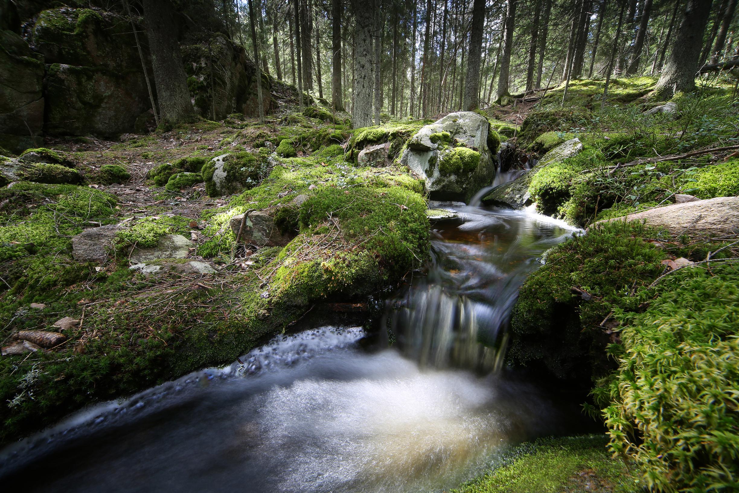 Voi hyvin -meditaatio Torjutut tunteet