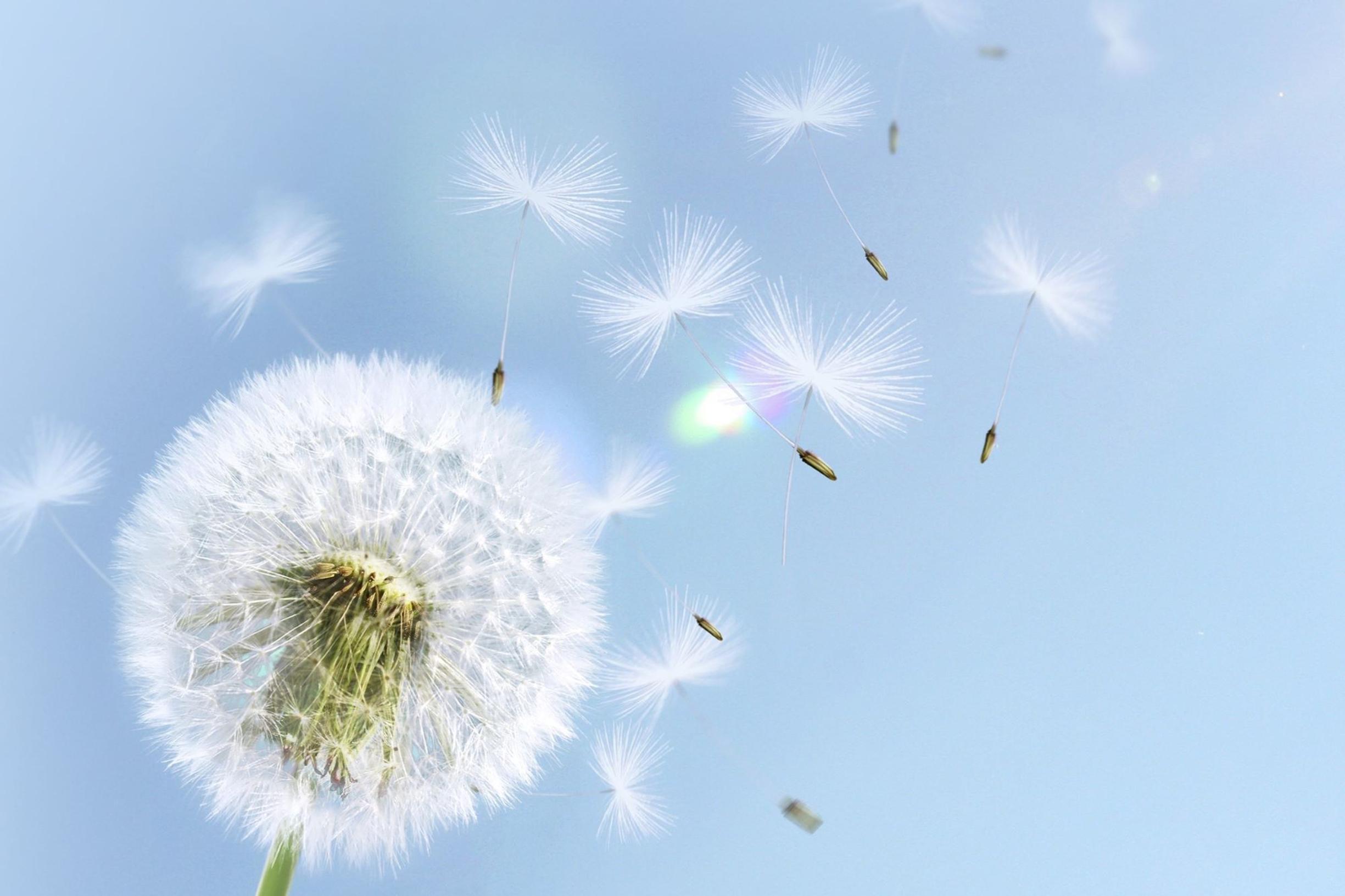 5 helppoa hengitysharjoitusta – yksi viilentää tunteita, toinen purkaa stressiä