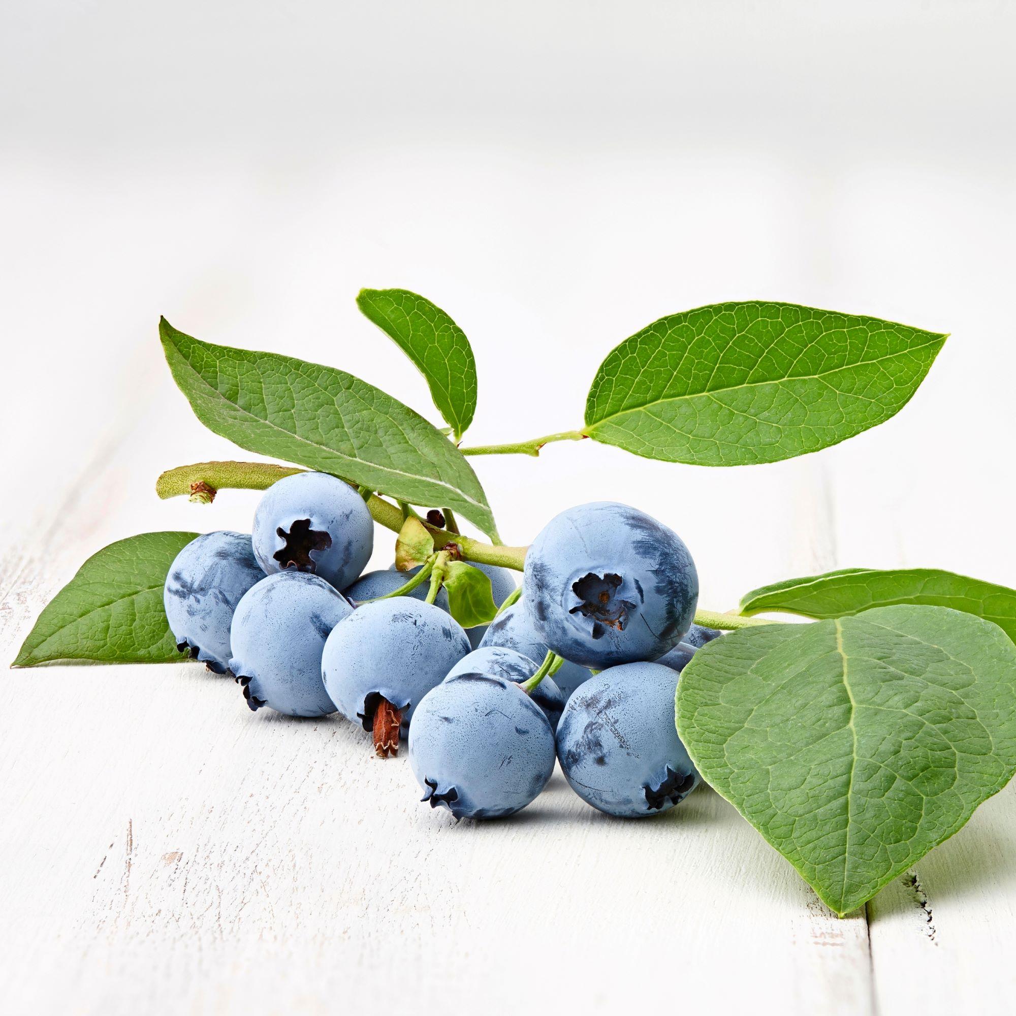 Haluatko selvitä ihonhoidosta parilla tuotteella? Aiva syntyi asiakkaiden toiveesta