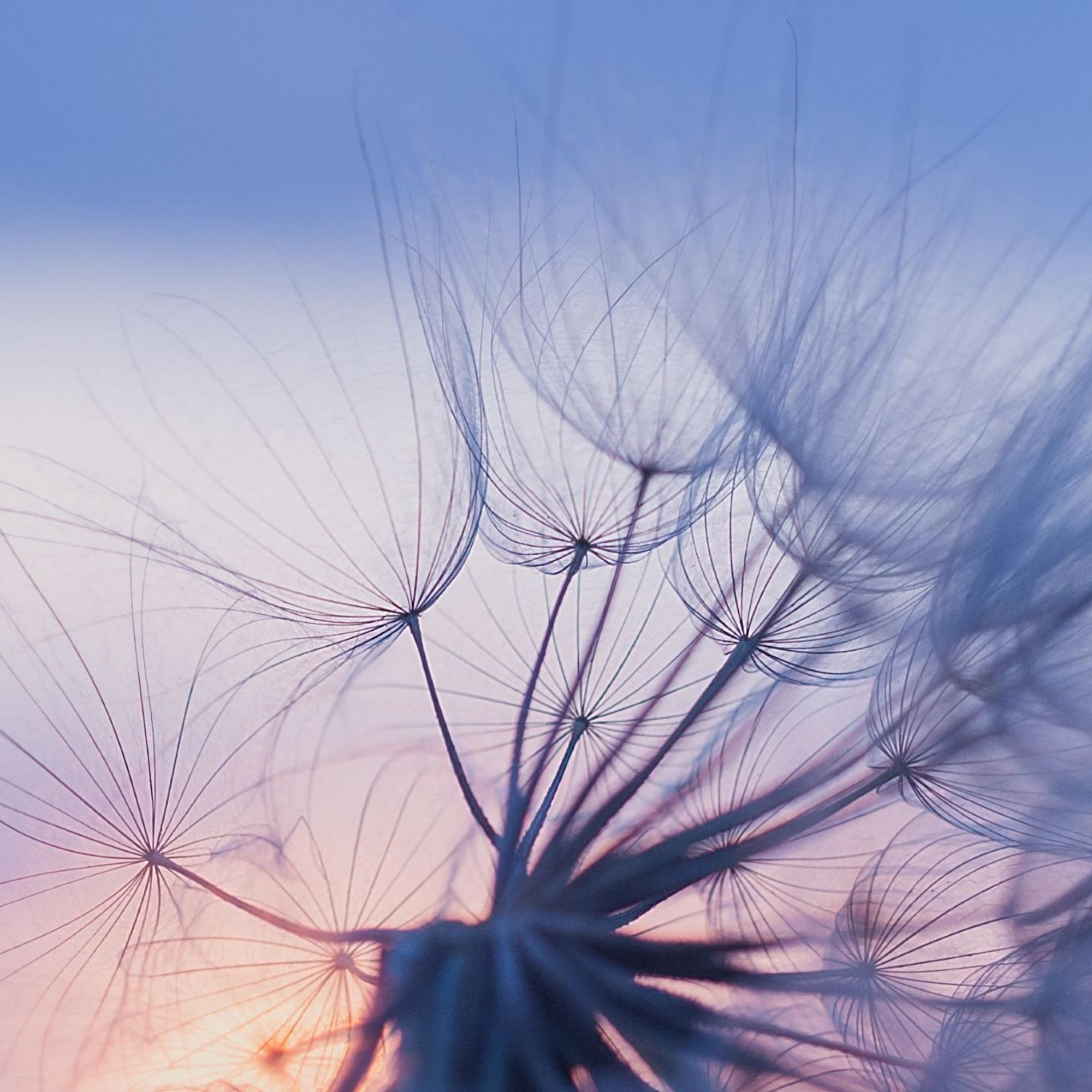 Tämä 10 minuutin hengitysharjoitus vahvistaa intuitiotasi – opit samalla tehokkaan segmenttihengityksen