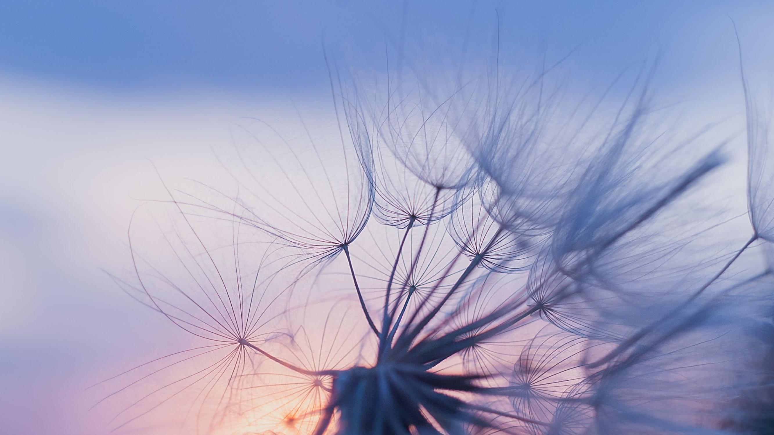 Tämä 10 minuutin hengitysharjoitus vahvistaa intuitiotasi – opit samalla tehokkaan segmenttihengityksen