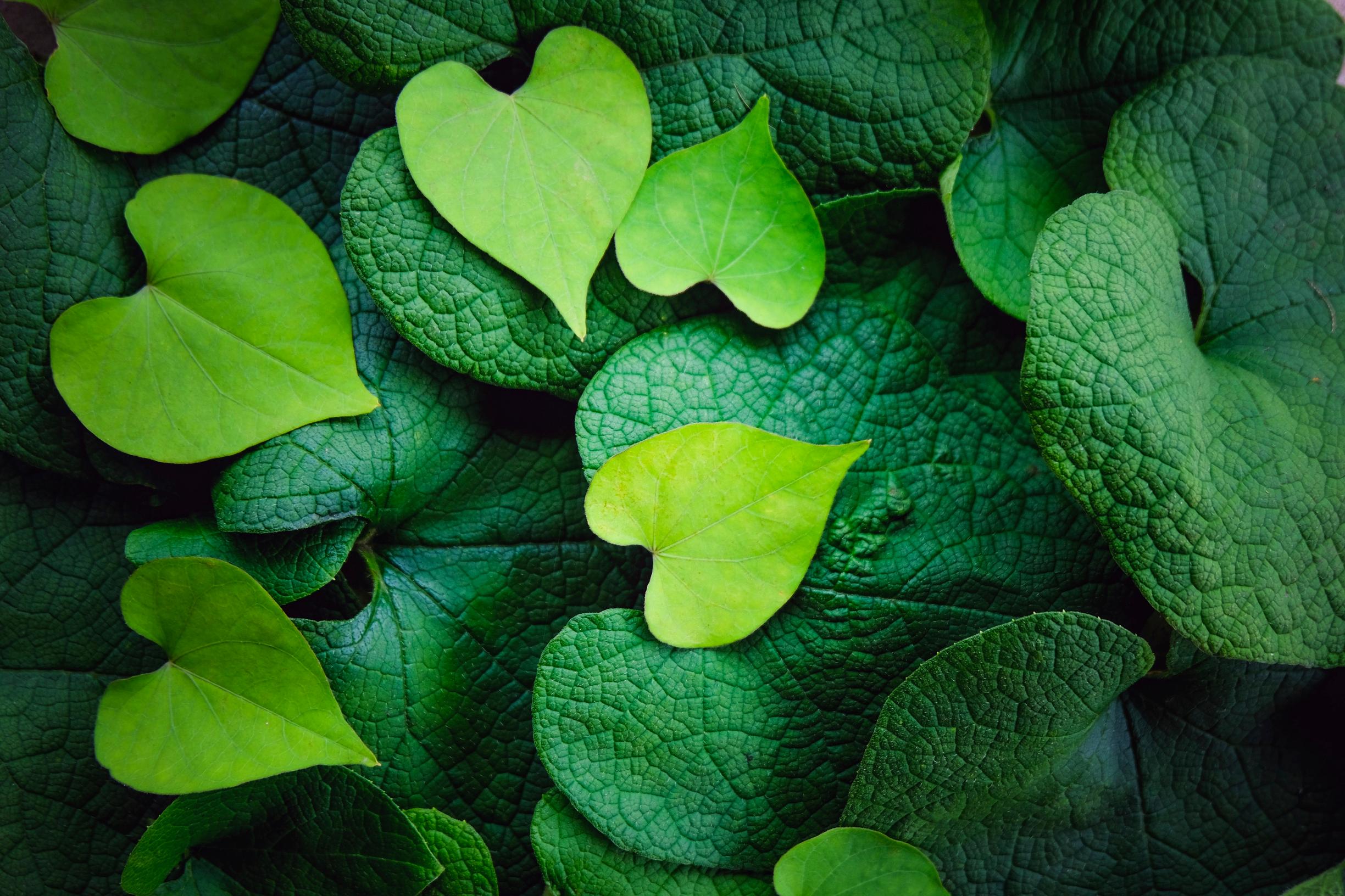 Kohti uutta kukoistusta! 5 syytä, miksi vaihdevuosia ei pidä pelätä