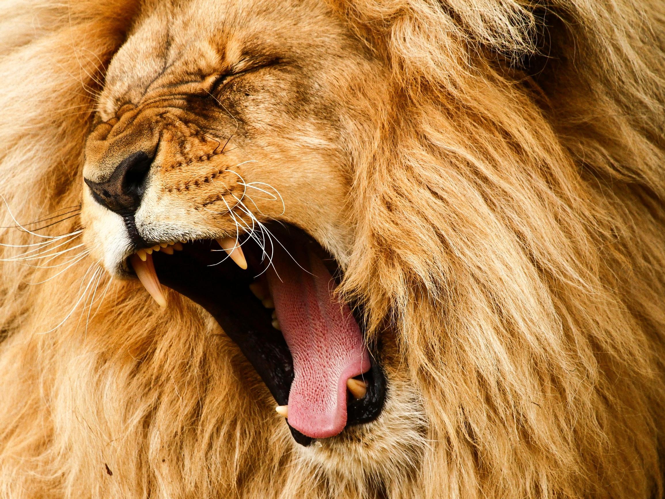 Saatko kampaajalla mitä haluat? Näin saat kampaajan ymmärtämään toiveitasi