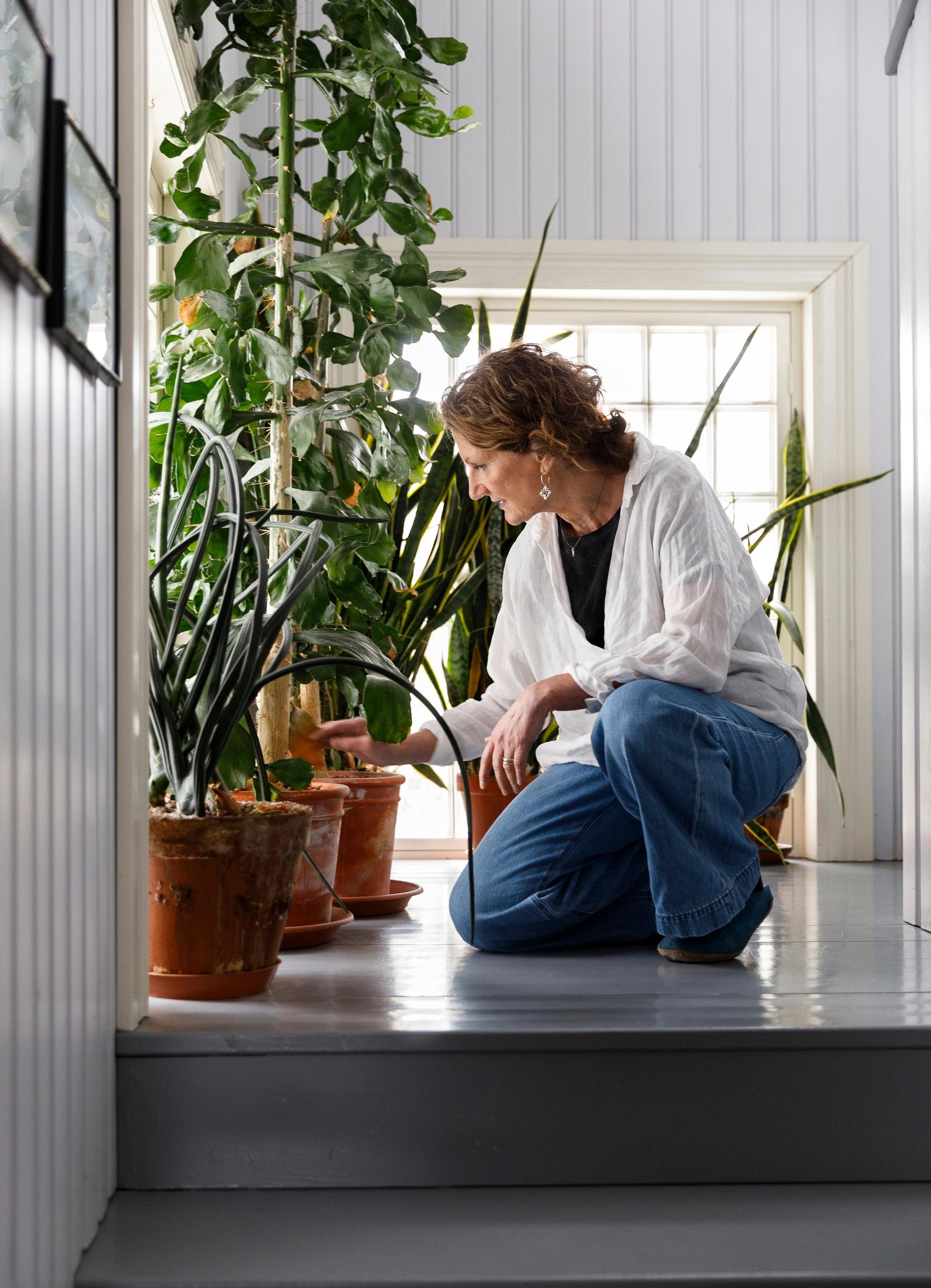 Sirkku rentoutuu kävellen, joogaten ja kuuntelemalla äänikirjoja. ”Rajoitan myös seuraamieni uutisten määrää enkä osallistu somekeskusteluihin.”