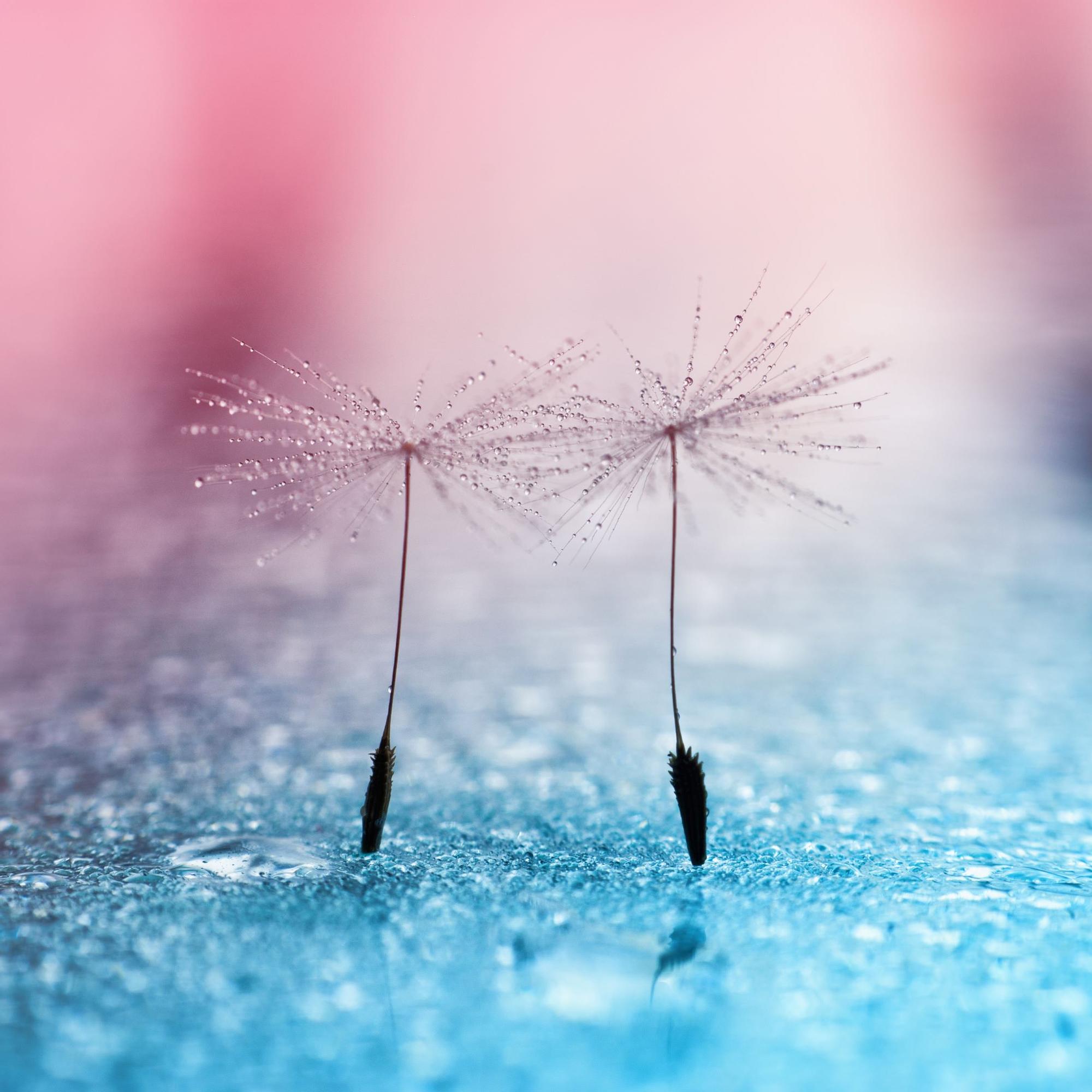 Menikö taas hermot? Tällä 7 minuutin hengitysharjoituksella viilennät kuohuvia tunteitasi