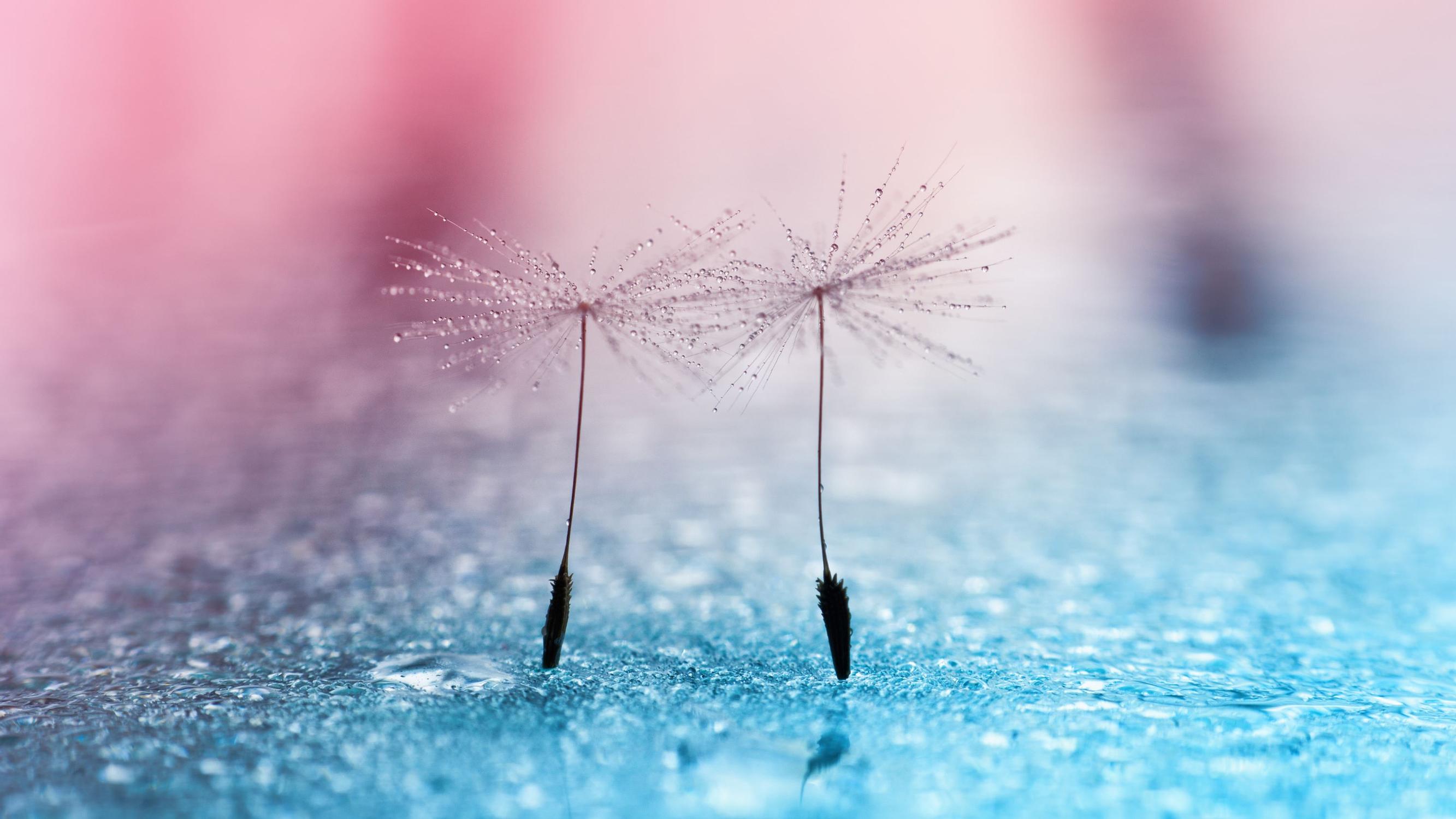 Menikö taas hermot? Tällä 7 minuutin hengitysharjoituksella viilennät kuohuvia tunteitasi