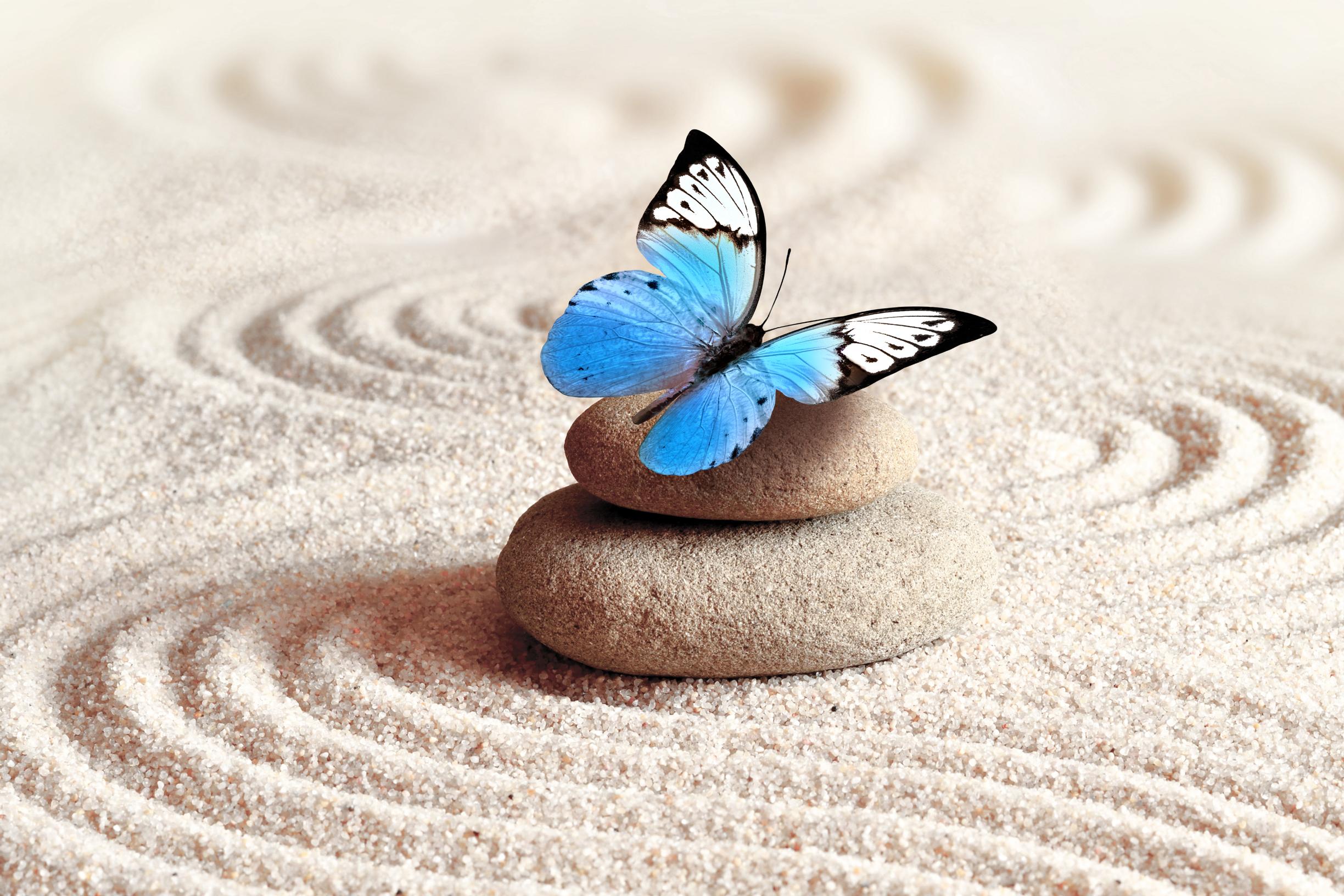 Trager-hoito pyrkii vähentämään kehon ja mielen jännitystä - "Hytkytys ja tuuditus saavat minut tuntemaan itseni melkein vauvaksi"