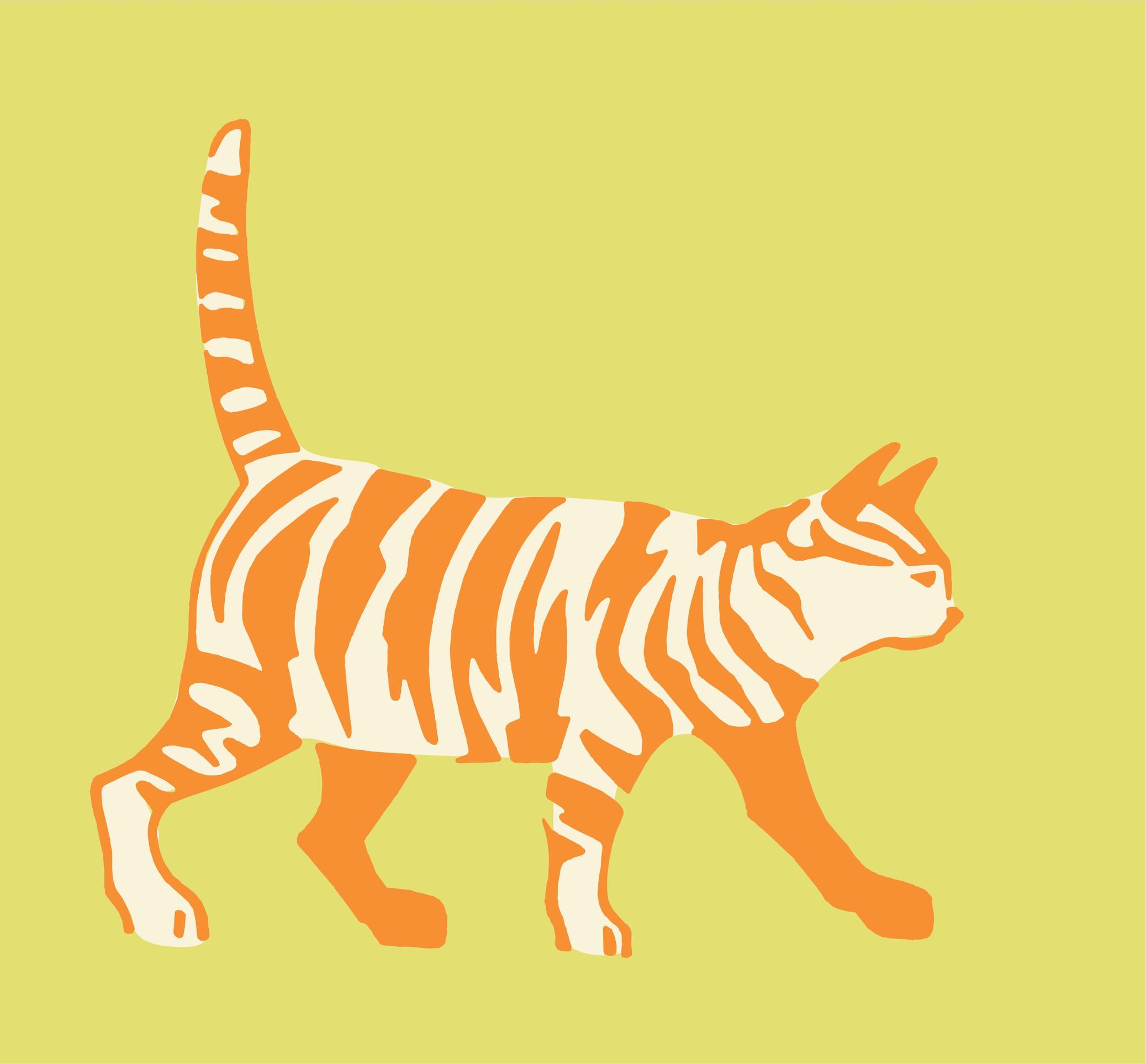 Paranna tasapainoa, vahvista lihaksia! Viisi syytä kävellä paljain jaloin