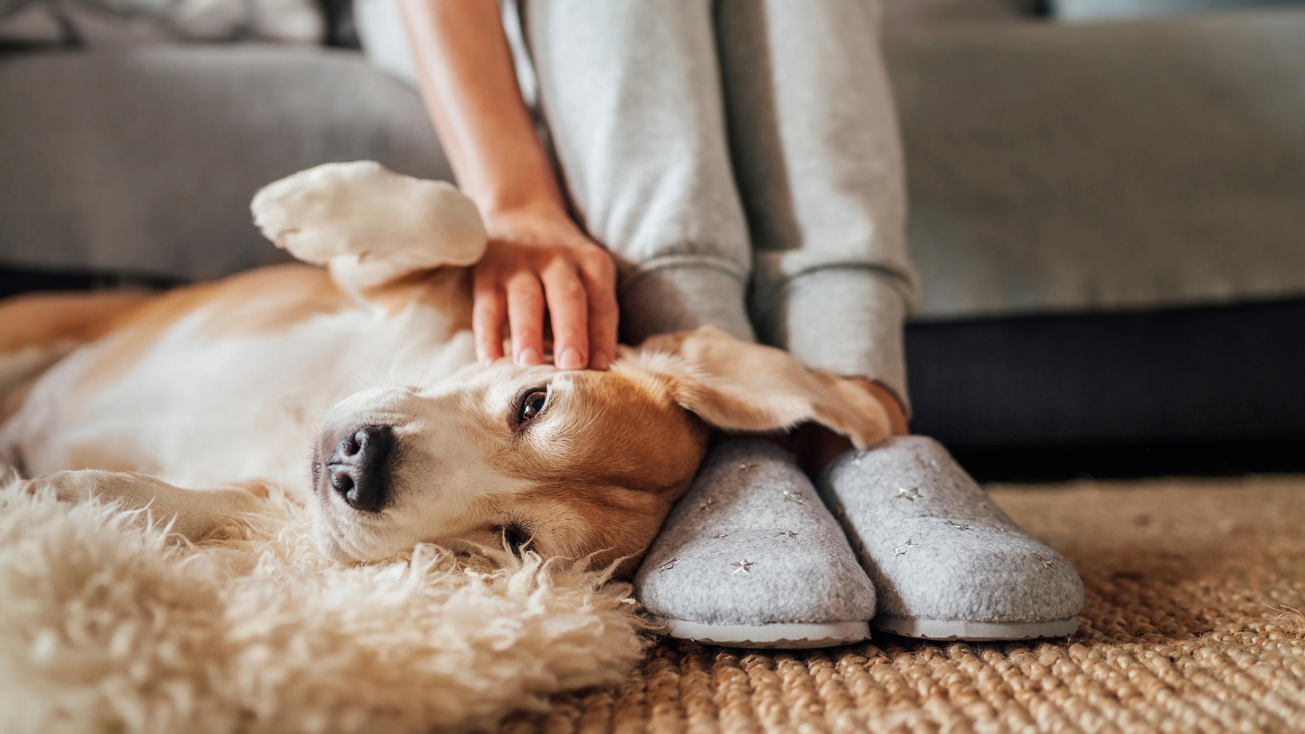 Haisevatko jalkasi? Yllättäen saippuapesu ei ole paras ratkaisu vaivaan