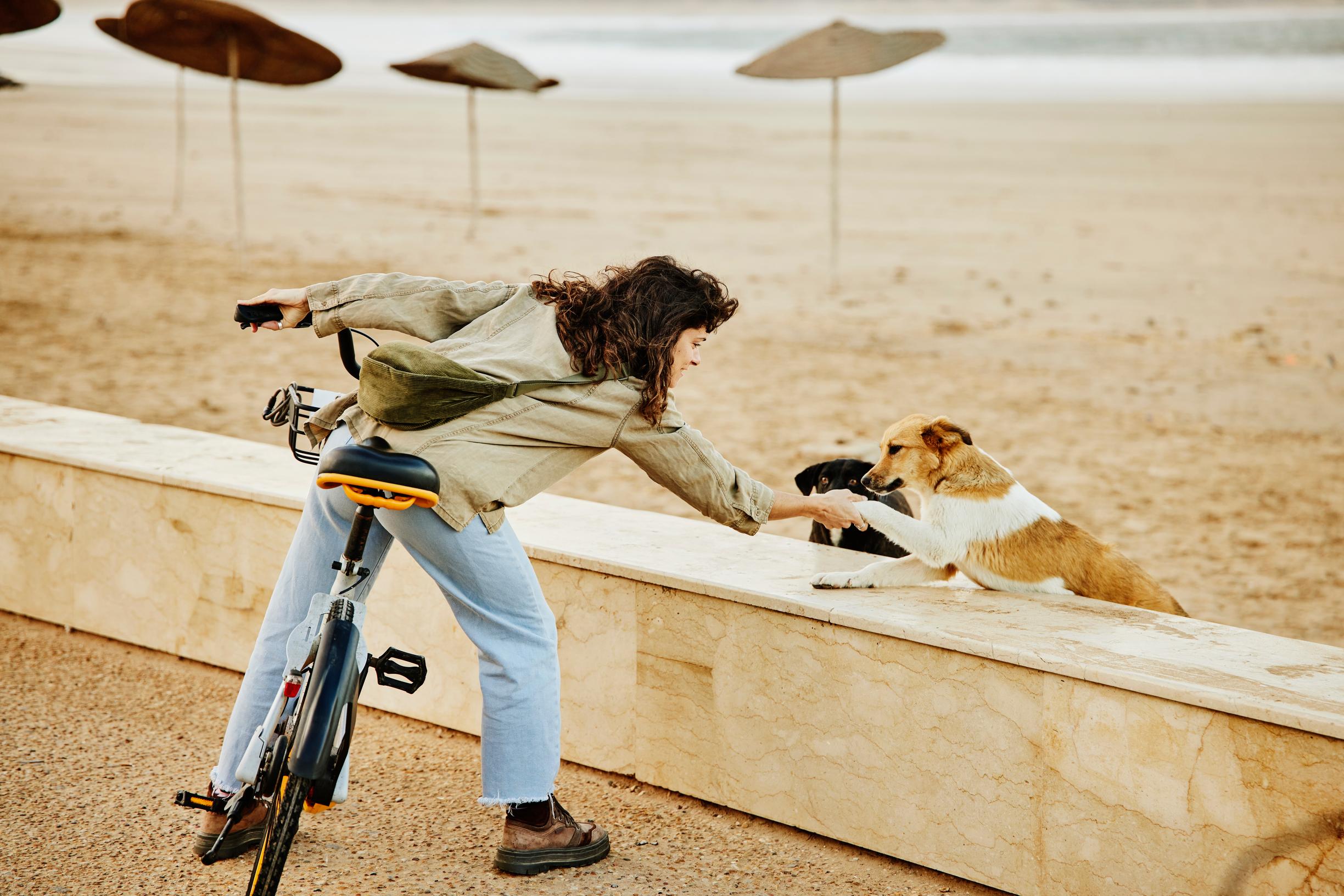 Nainen kättelee kulkukoiraa