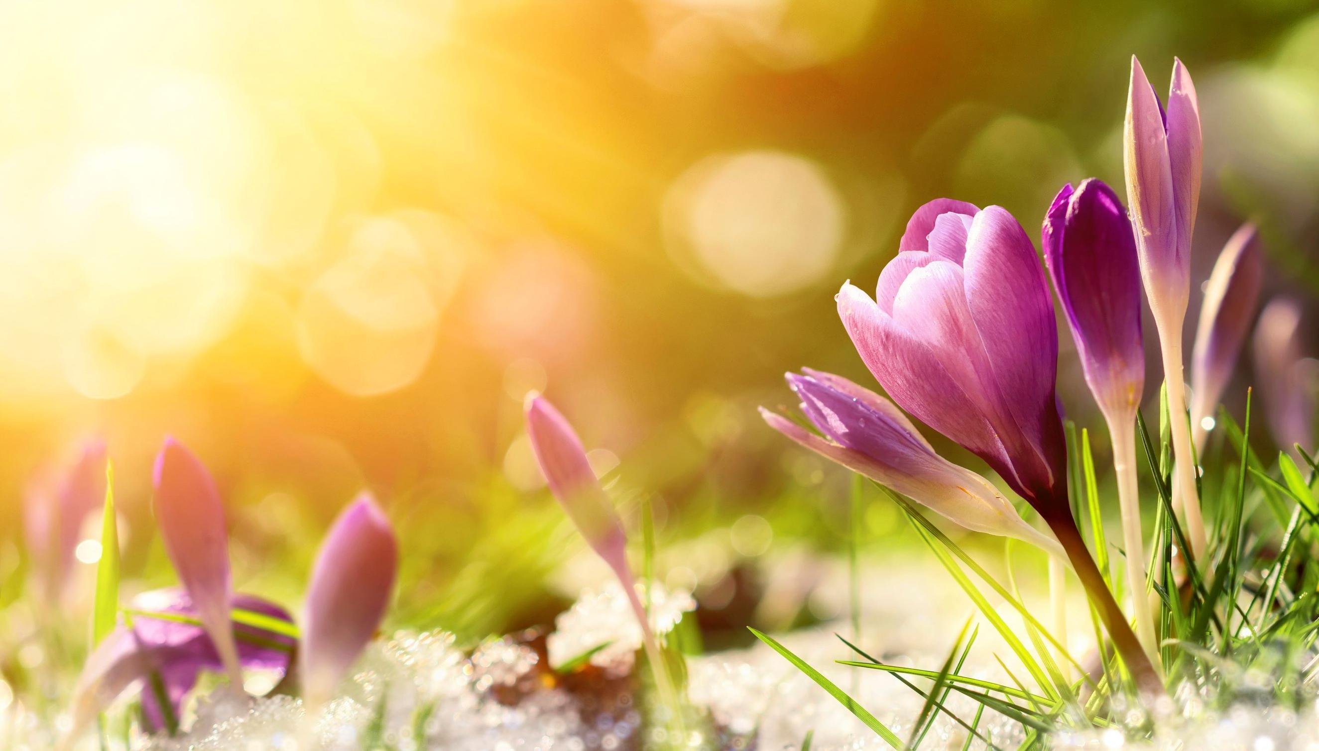 Tuntuuko siltä, että olet väärässä työpaikassa? Omien vahvuuksien löytäminen auttaa uuden suunnan löytämisessä