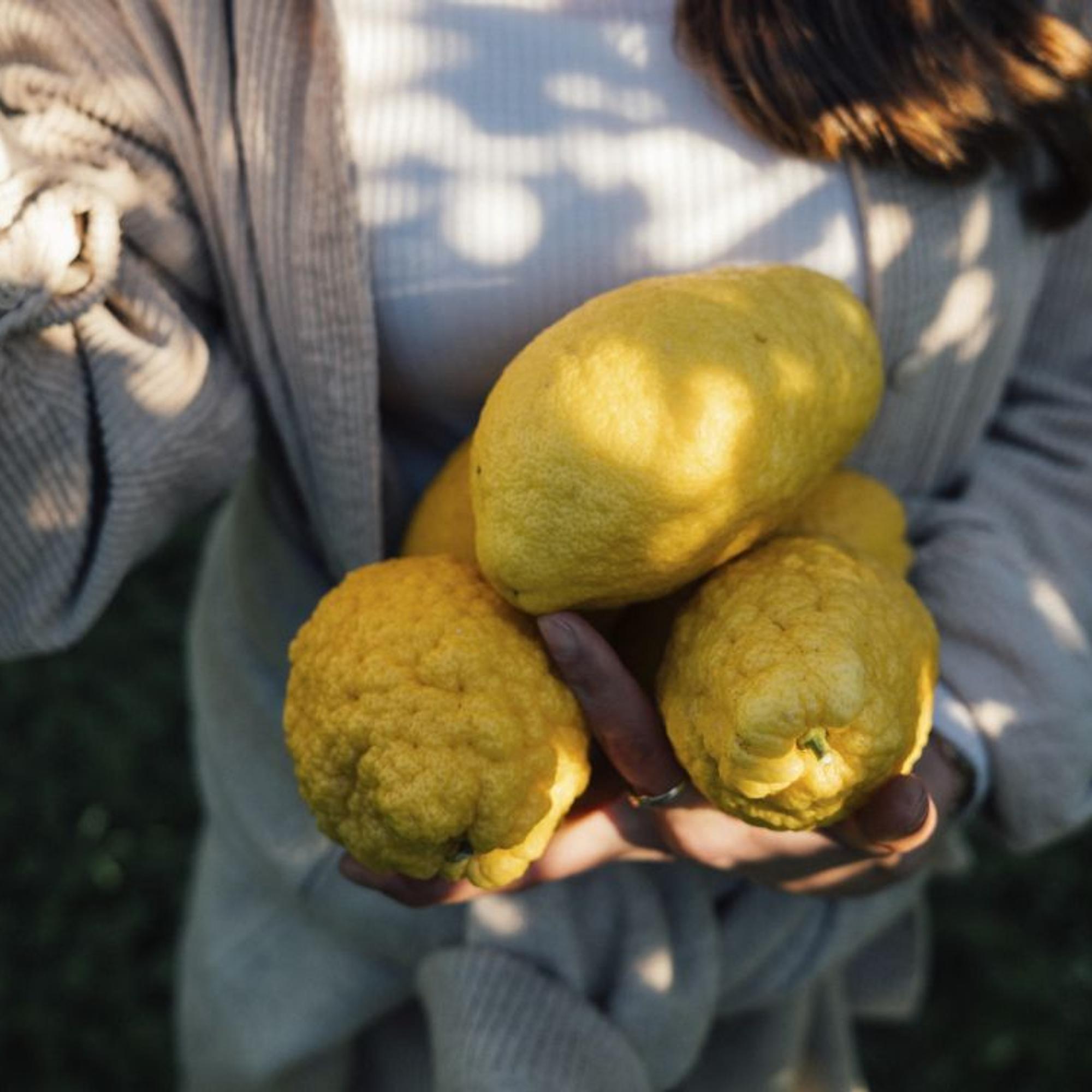 Tämä ihmisryhmä ottaa pettymykset kaikista raskaimmin – psykoterapeutti antaa 5 neuvoa, miten pettymyksiä voi käsitellä