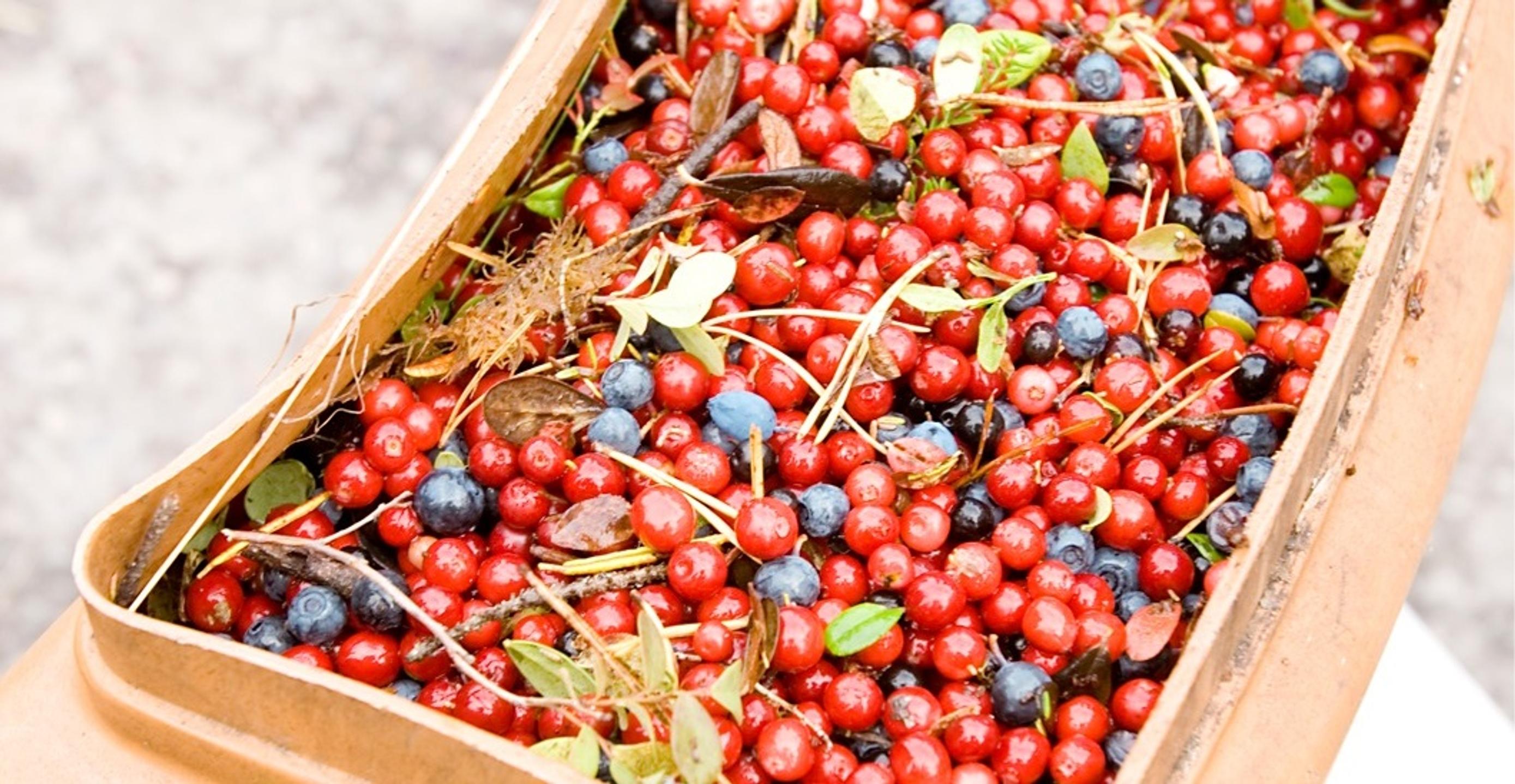 Kasviestrogeenit tukevat kehoasi