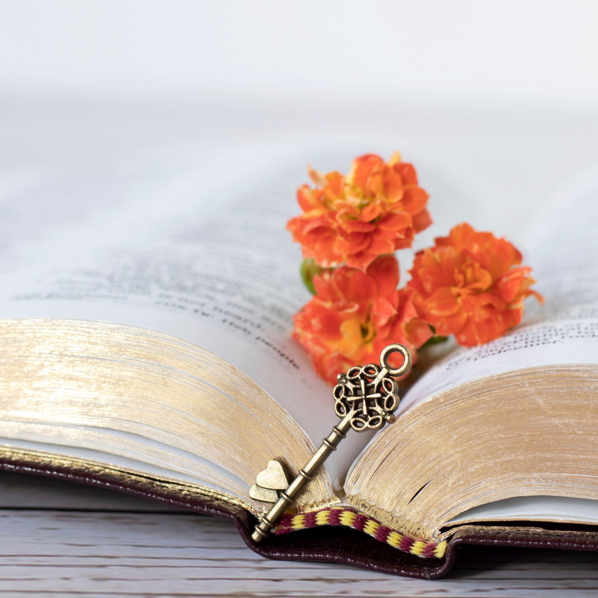 Kuka loi pyhän tekstin? Uskontotieteilijän mukaan alkuperäistä Raamattua ei ole olemassa