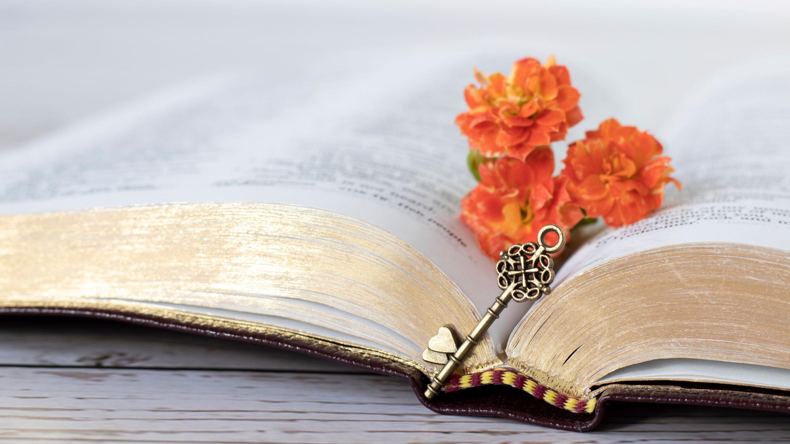 Kuka loi pyhän tekstin? Uskontotieteilijän mukaan alkuperäistä Raamattua ei ole olemassa