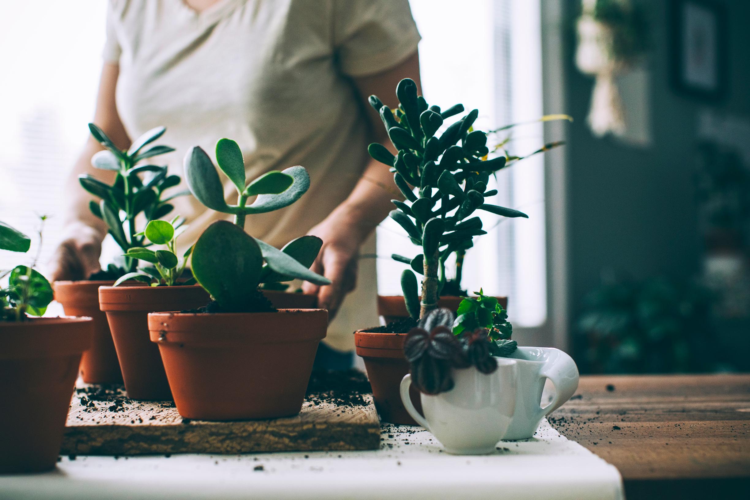 Miksi kannattaa toimia oikein, kun moni muu tekee juuri, mitä huvittaa? Asiantuntijan vastaus liittyy toivoon