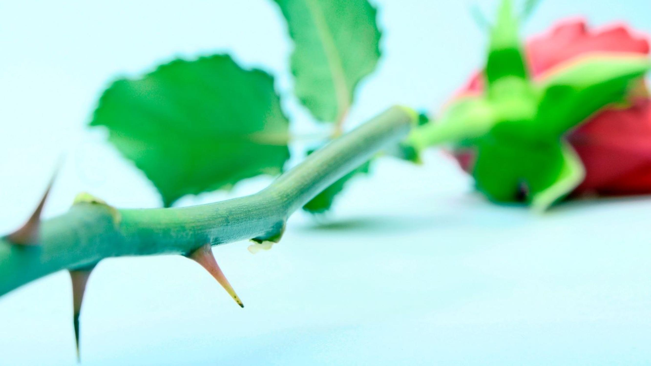 Minne katosivat hyvät käytöstavat?