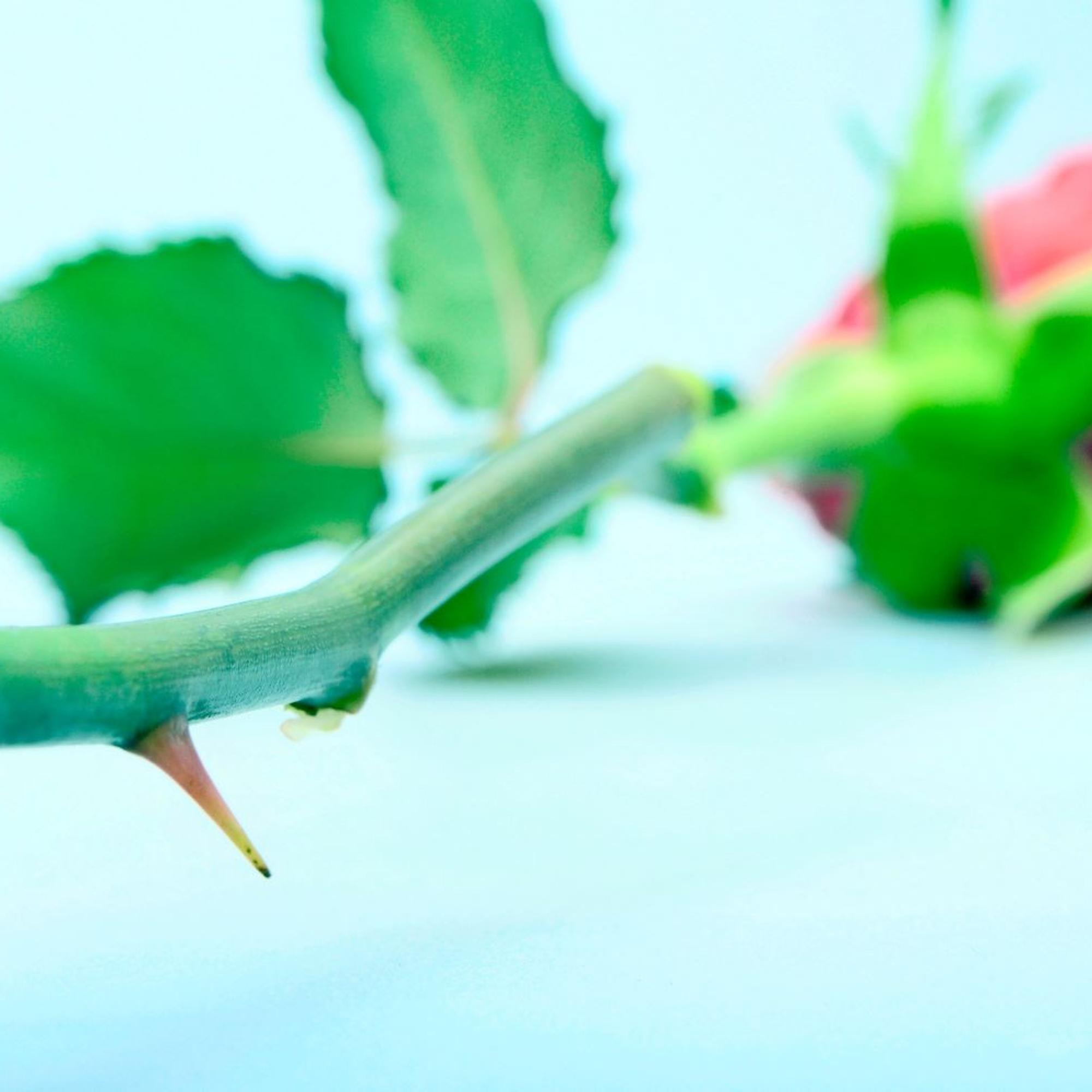 Minne katosivat hyvät käytöstavat?