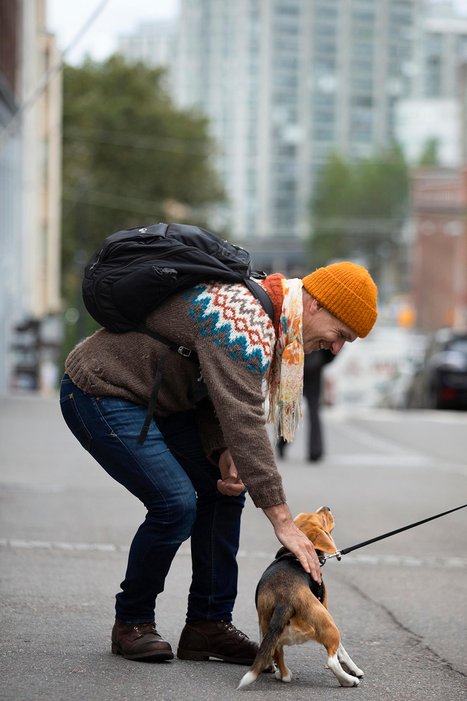 Jos Robin suuttuu perheen shiba-koiralle, Hoka (ei jutun kuvassa) ilmaisee, että ihminen on hänen silmissään tyystin menettänyt kasvonsa. ”Kovuuden ilmaiseminen on koiran kanssa hyödytöntä. Samoin lasten kanssa.”