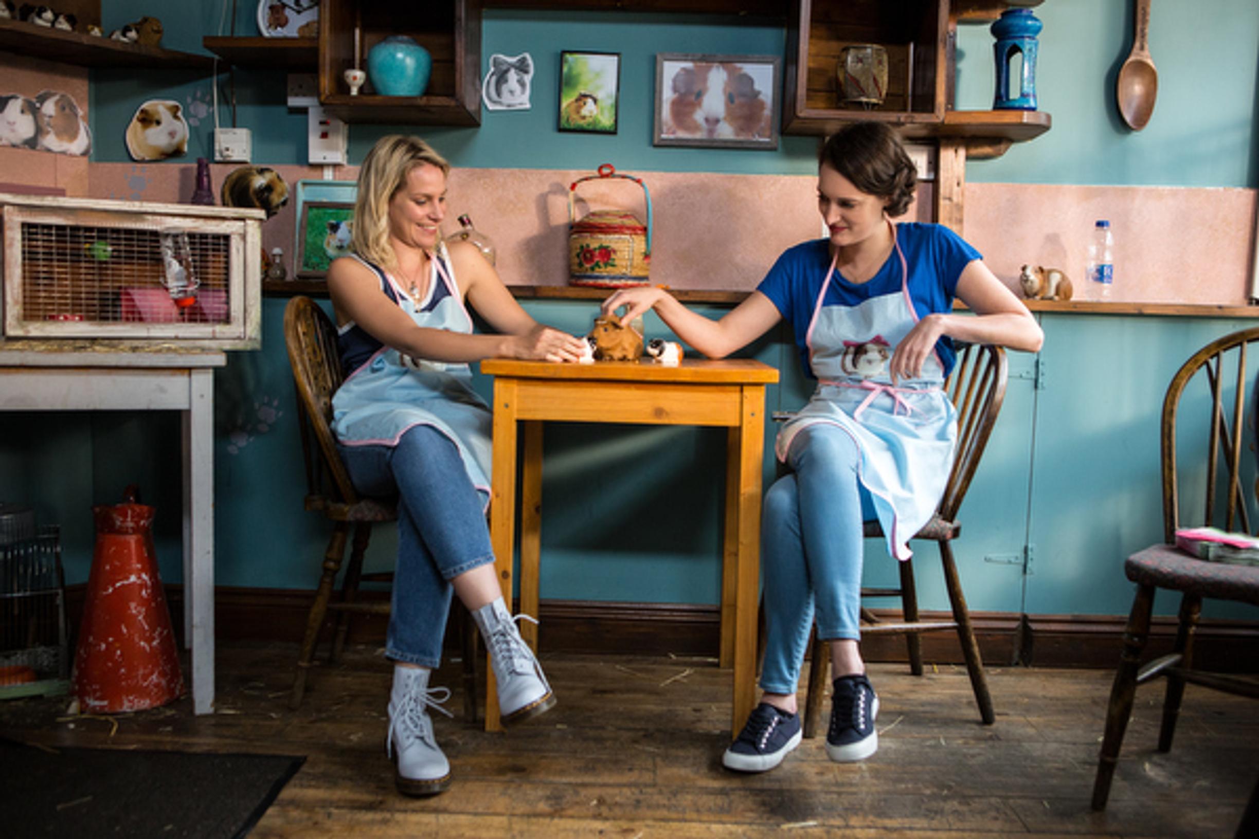 Fleabag on Phoebe Waller-Bridgen kirjoittama traaginen komediasarja, jossa parikymppinen nainen saapuu Lontooseen taustallaan tragedia: parhaan ystävän kuolema.