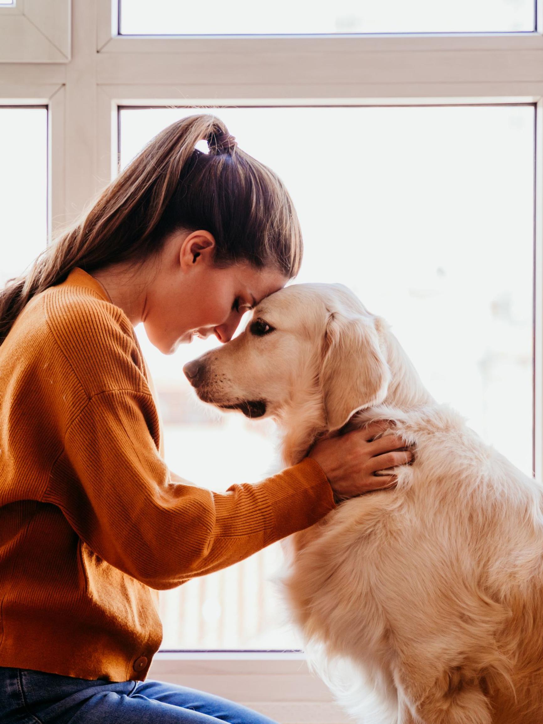 Lemmikit tuovat iloa ja terveyttä – mutta uskotko, että lemmikki osaa aidosti lohduttaa omistajaansa?