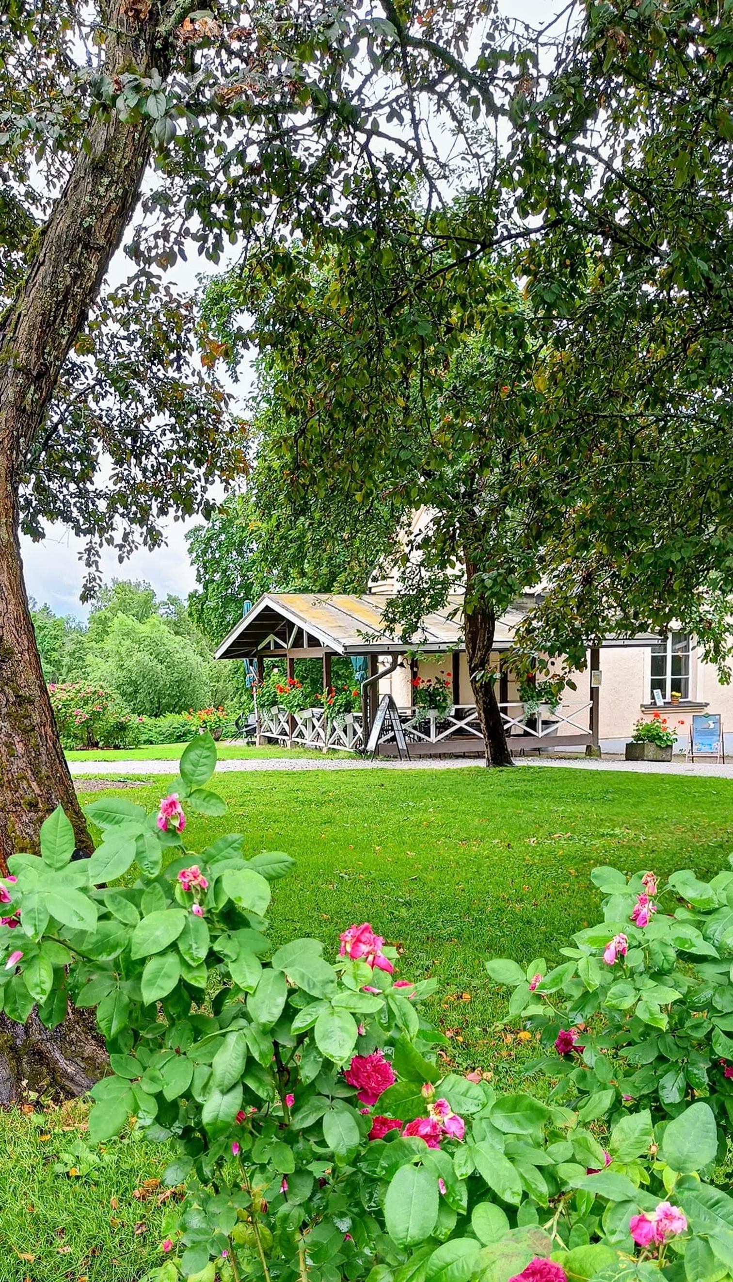 Kahvila Arboretum