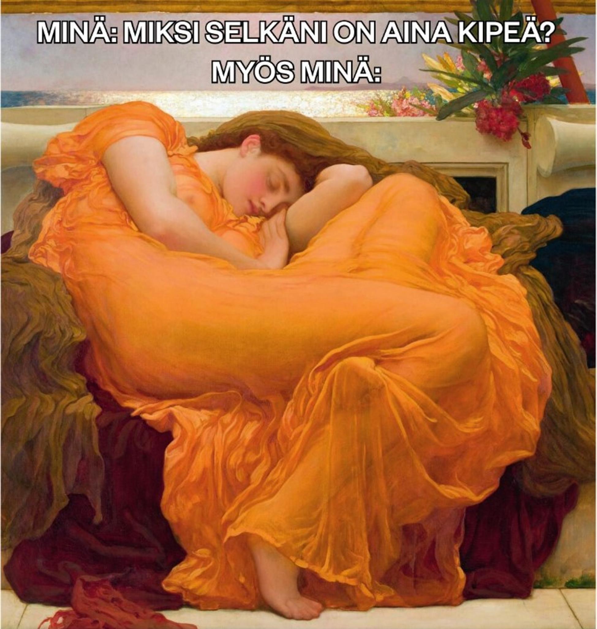 kuvakaappaus meemistä